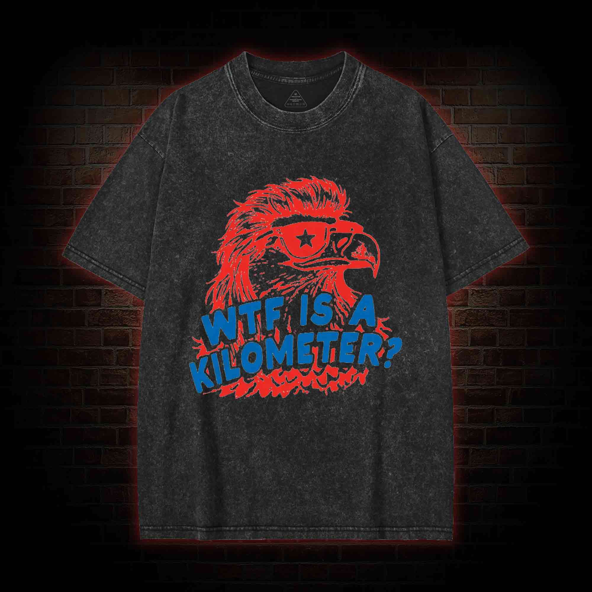 WTF is A Kilometer Washed T-shirt