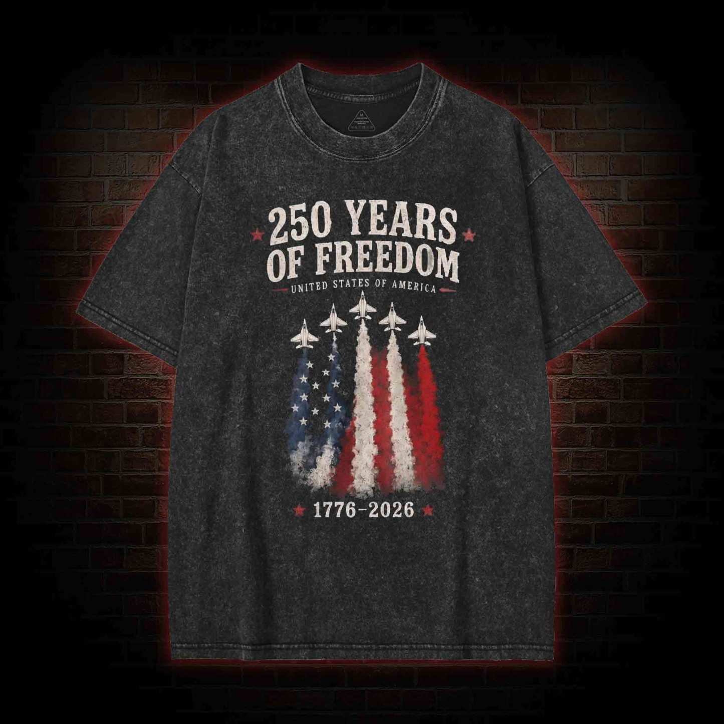 Fighter Jet Washed T-shirt