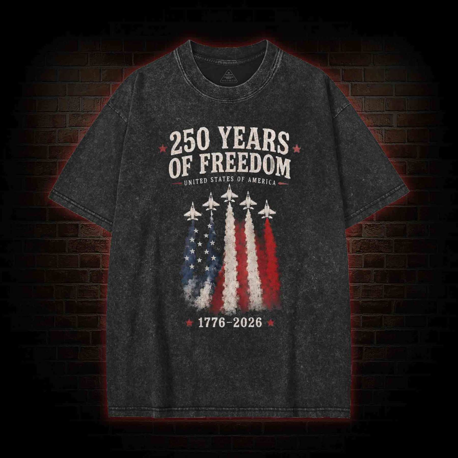 Fighter Jet Washed T-shirt