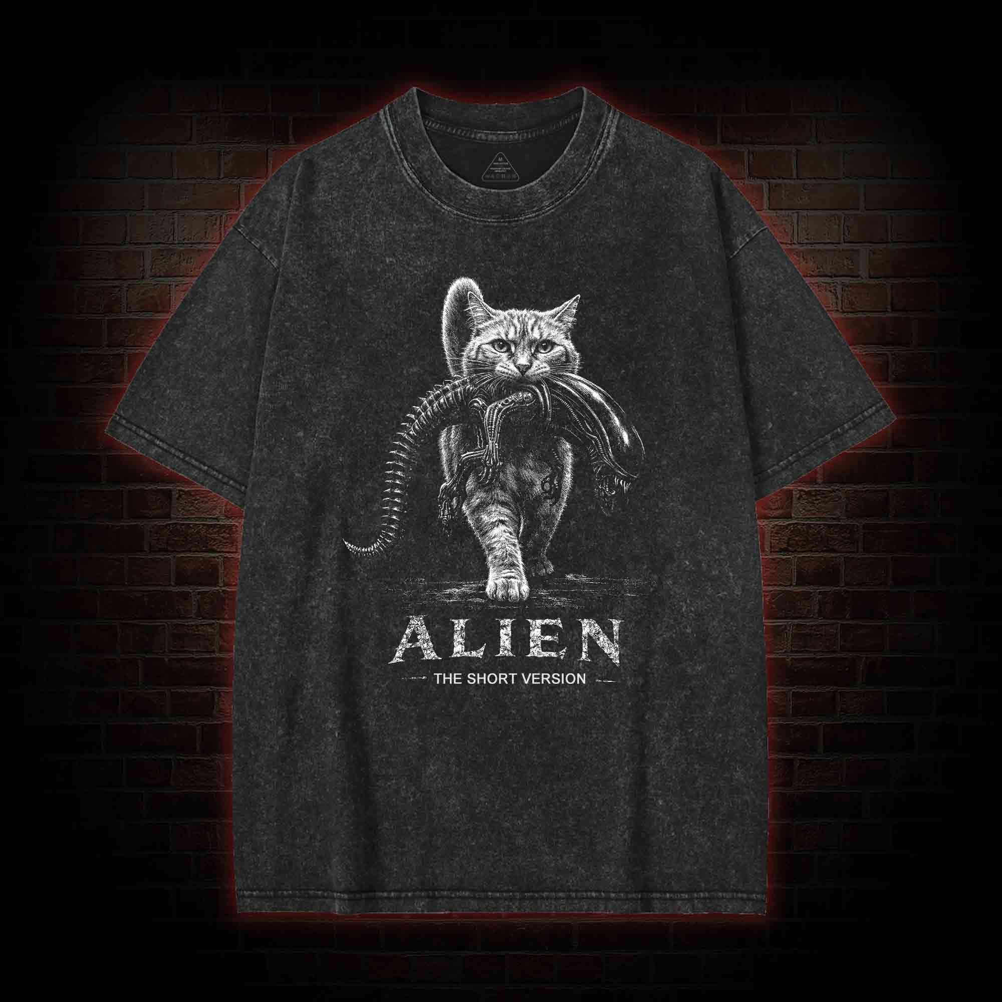 The Short Version Washed T-shirt