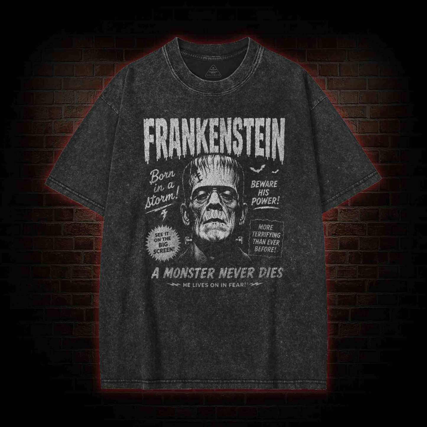 Born in a Storm Washed T-shirt
