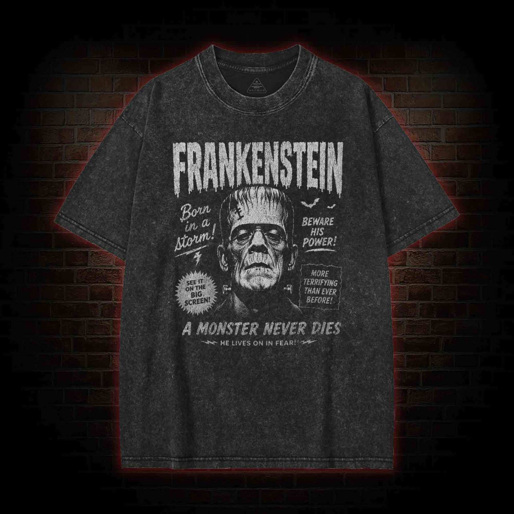 Born in a Storm Washed T-shirt