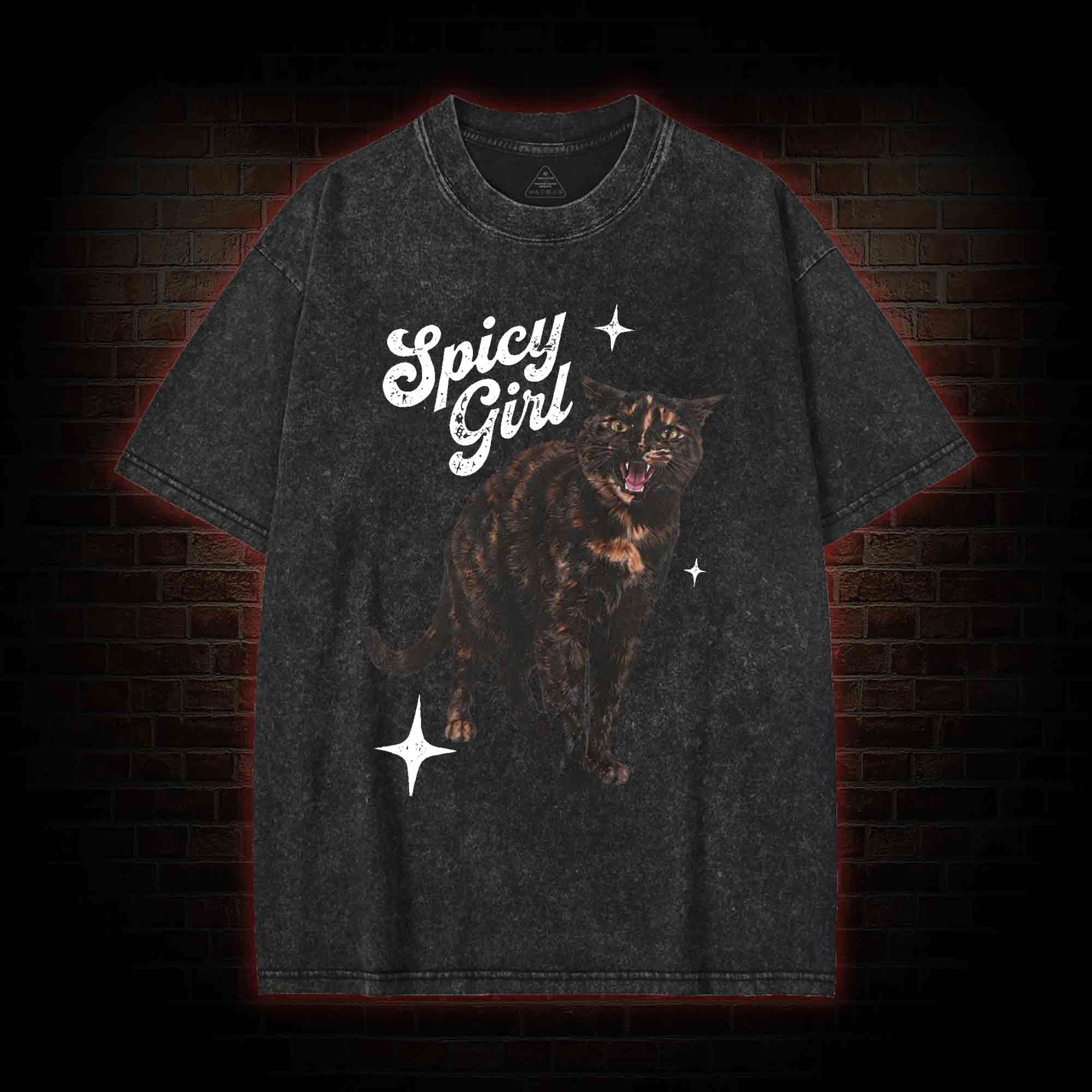 Spicy Girl Washed T-shirt