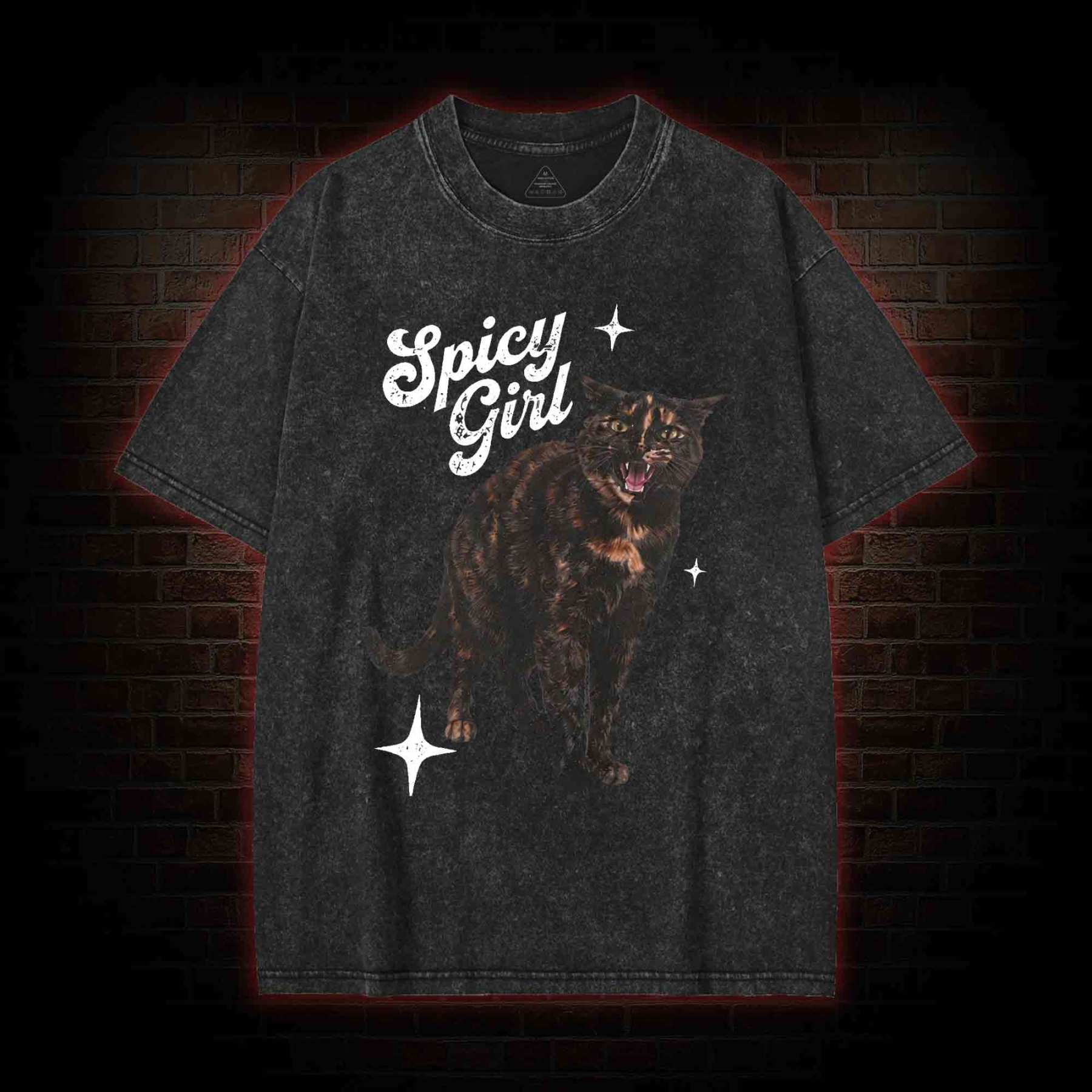 Spicy Girl Washed T-shirt