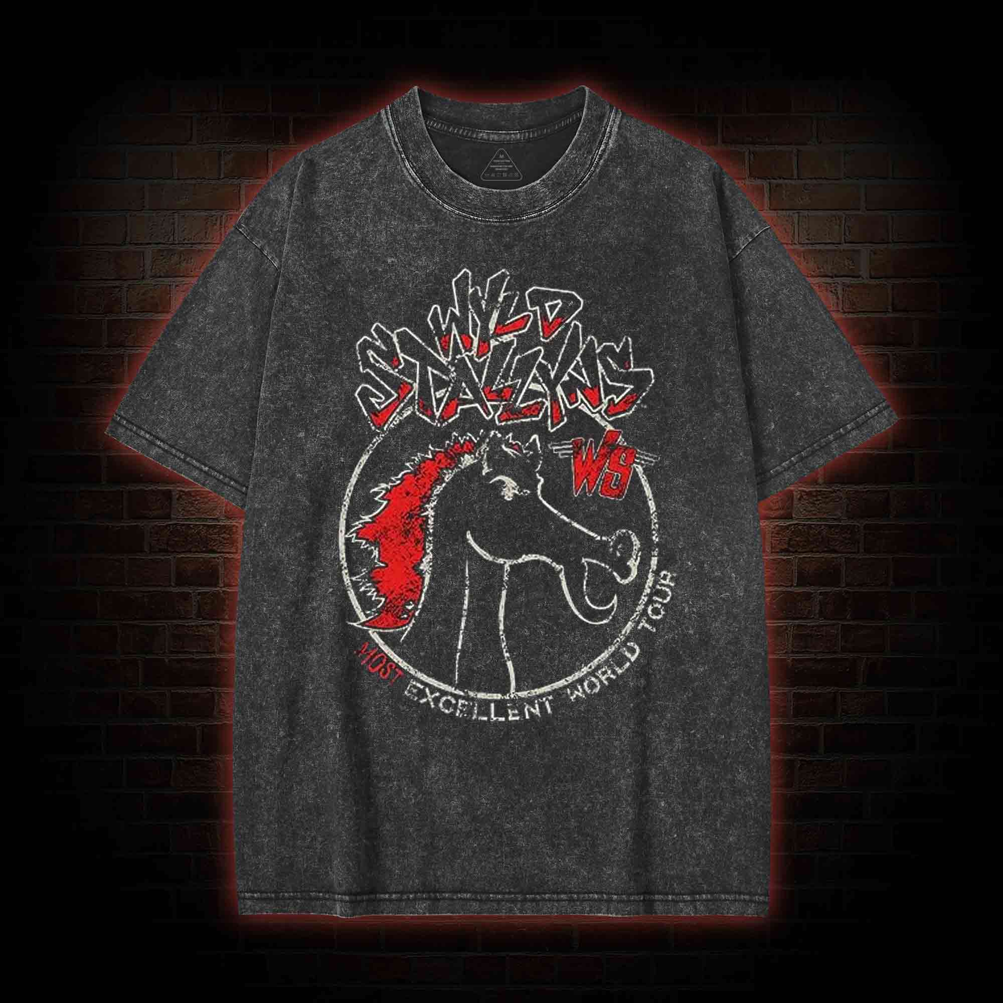 Wild Stallyns will Save the World Washed T-shirt