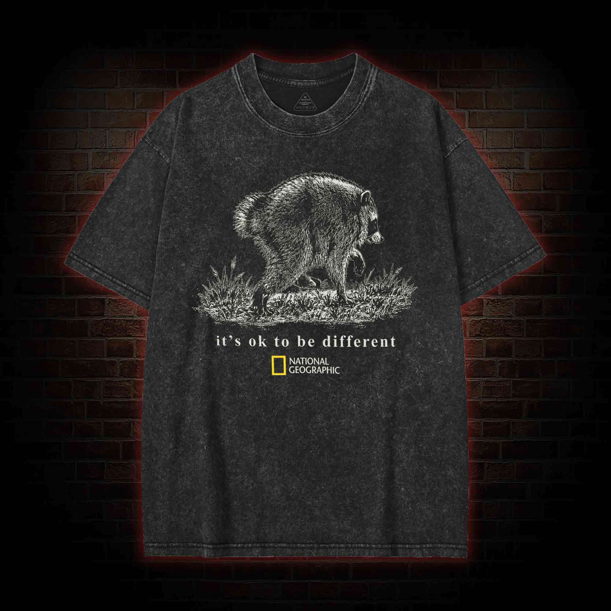 It's Ok to be Different Jimothy Washed T-shirt