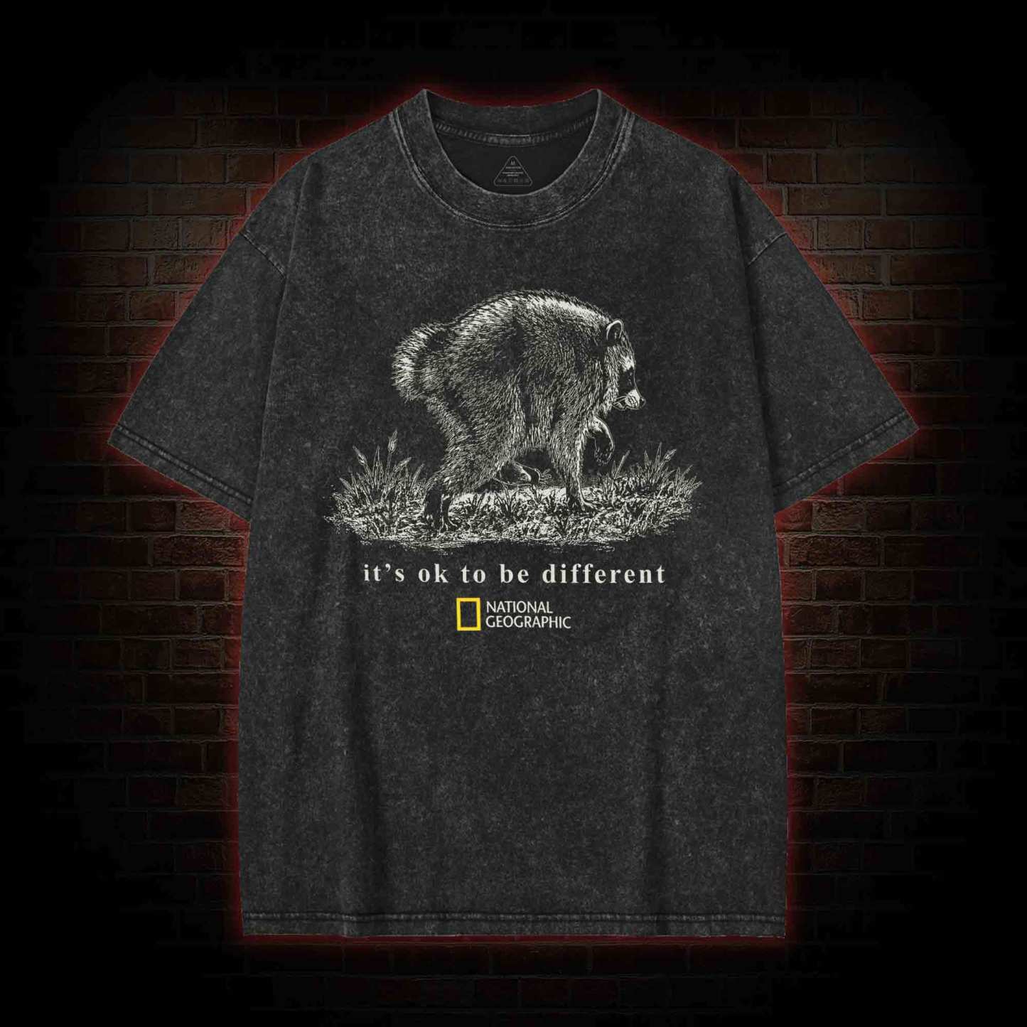 It's Ok to be Different Jimothy Washed T-shirt