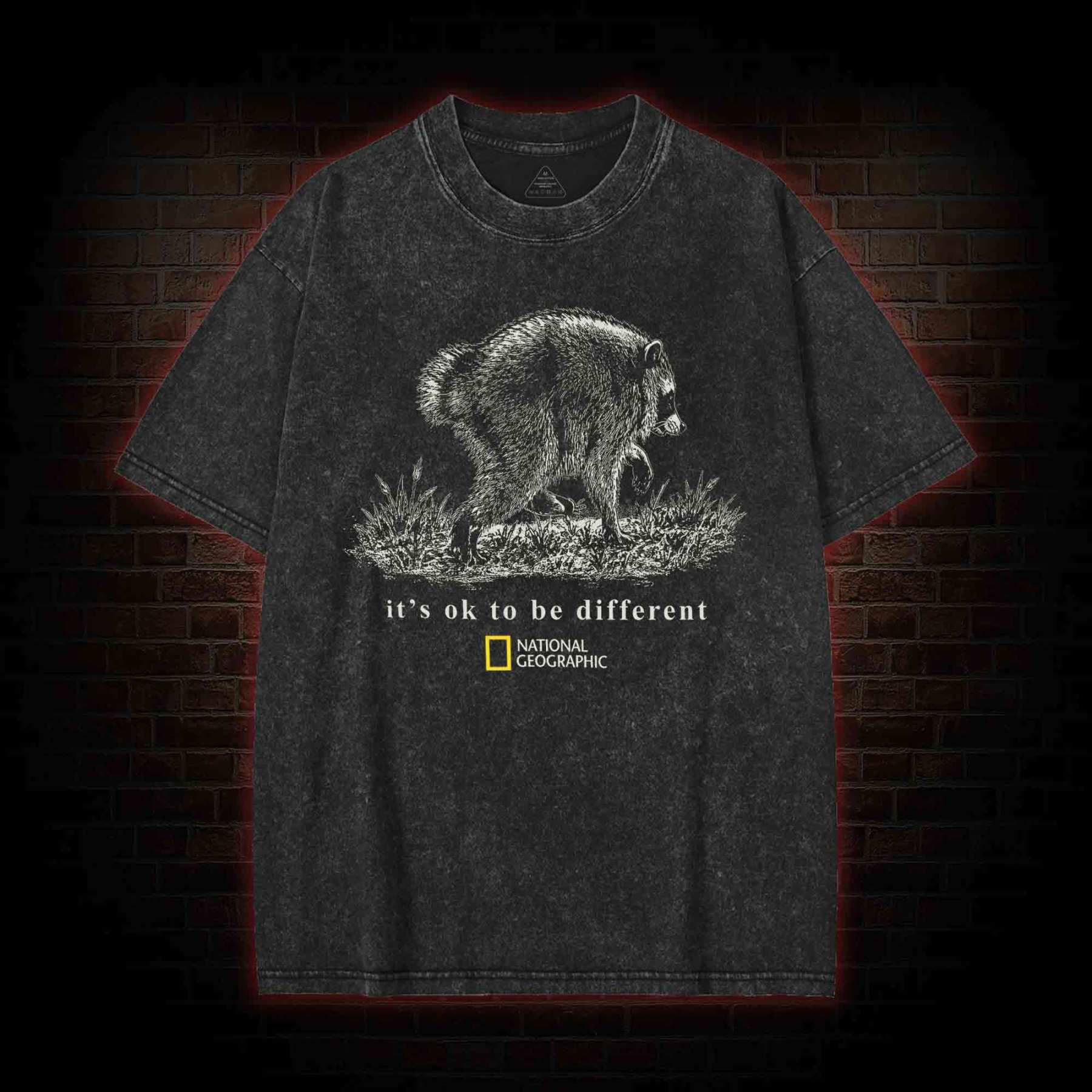 It's Ok to be Different Jimothy Washed T-shirt