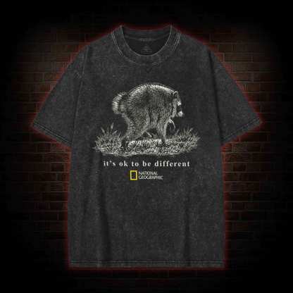 It's Ok to be Different Jimothy Washed T-shirt