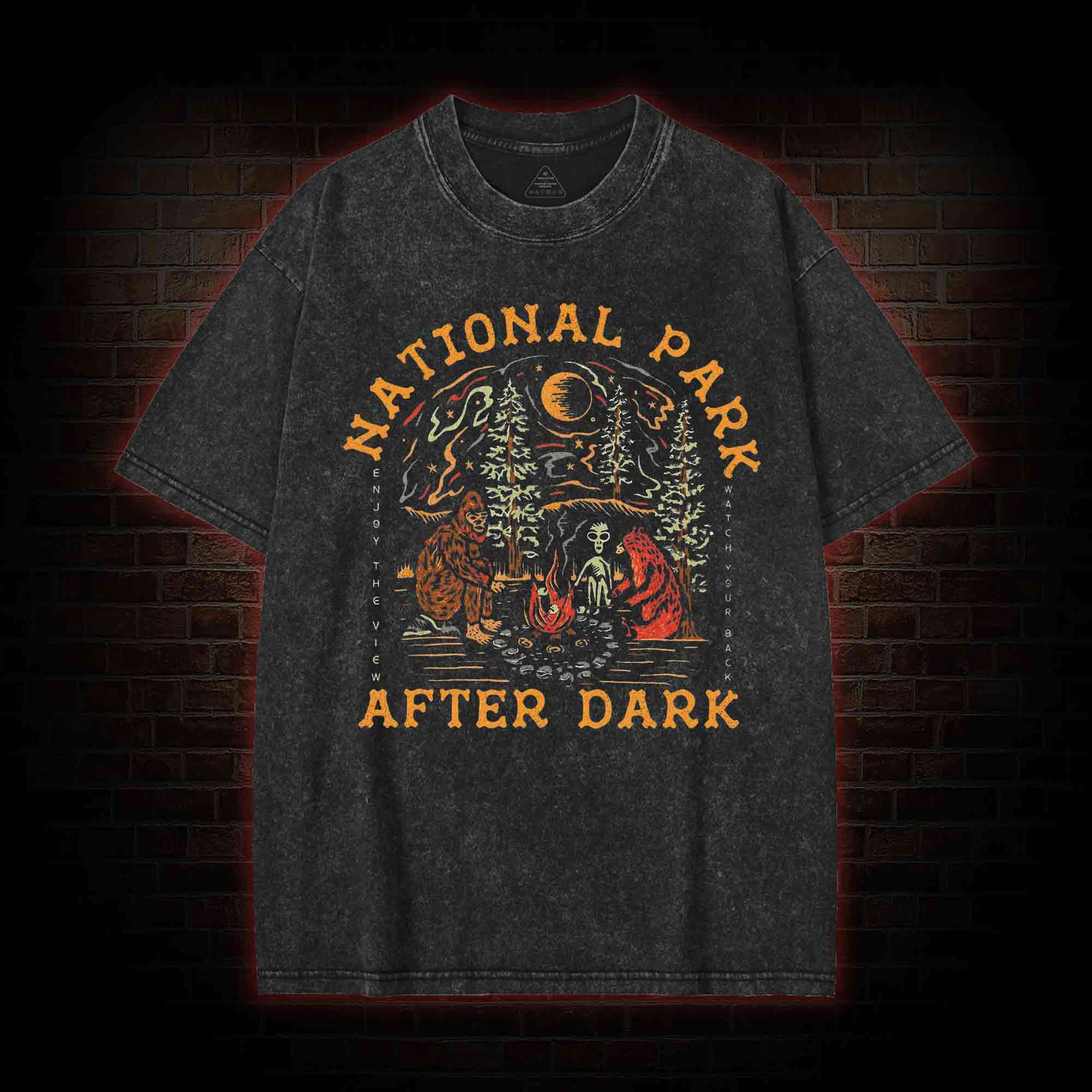 National Park After Dark Washed T-shirt