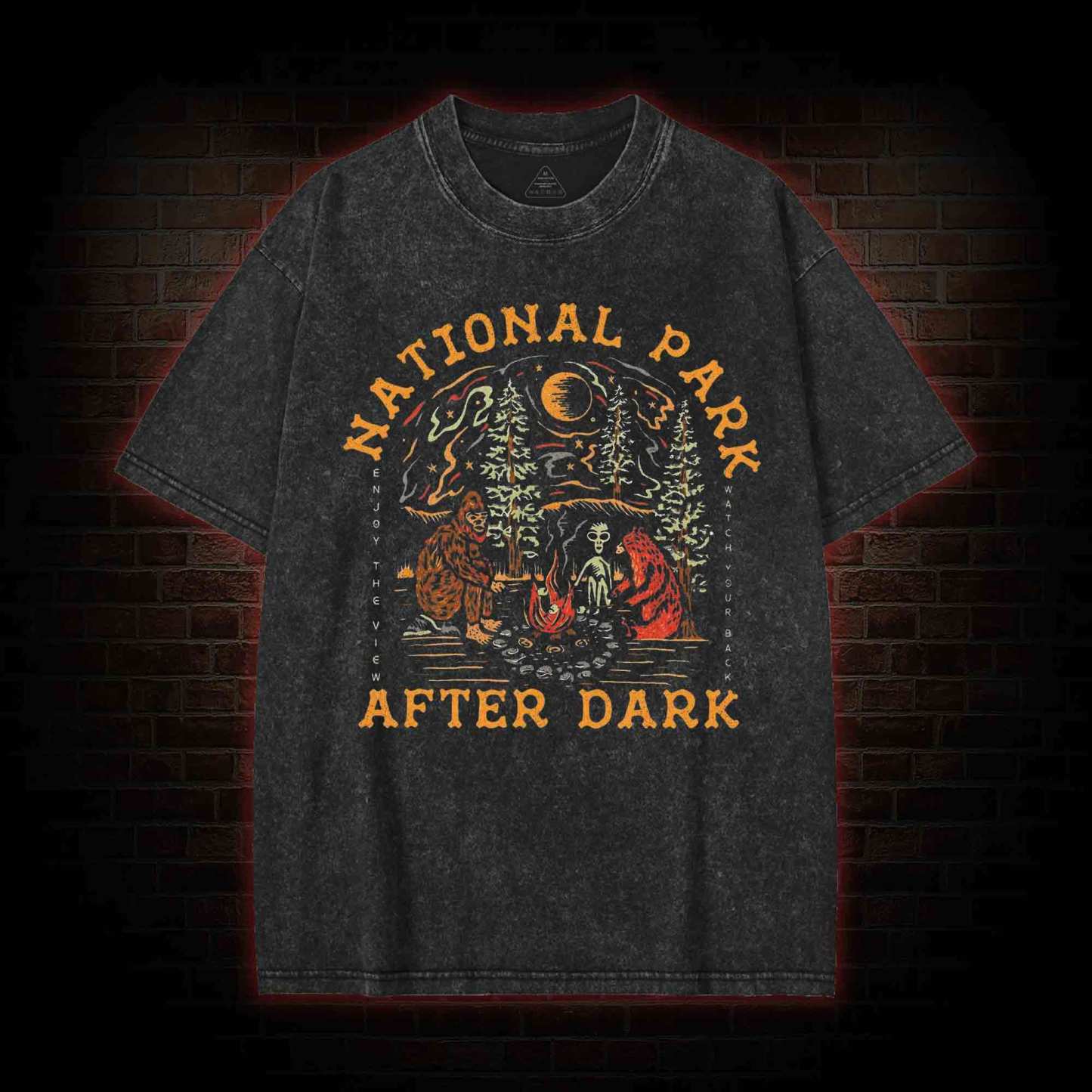 National Park After Dark Washed T-shirt