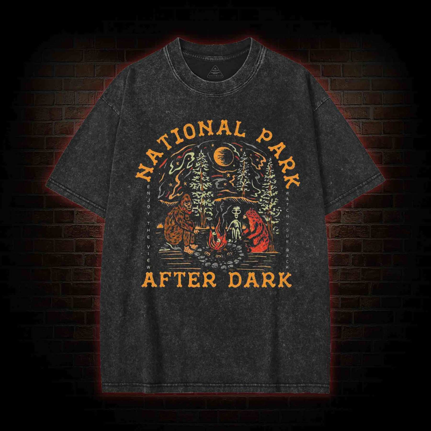 National Park After Dark Washed T-shirt