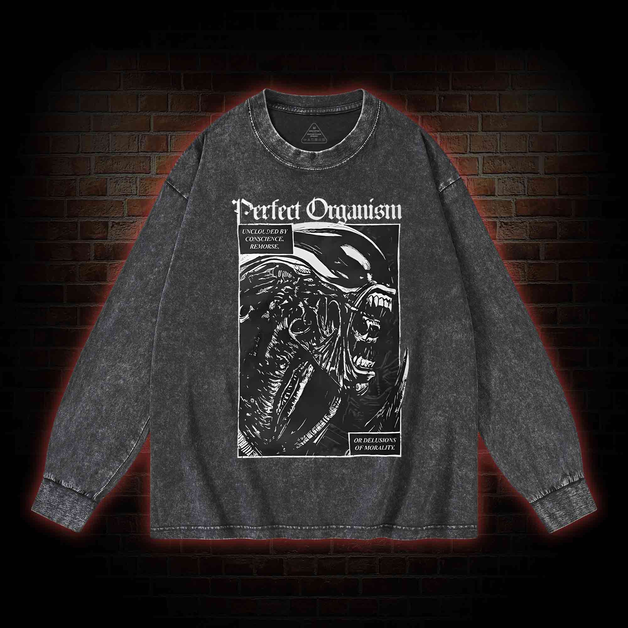 Alien Perfect Organism Washed Long-Sleeve T-shirt
