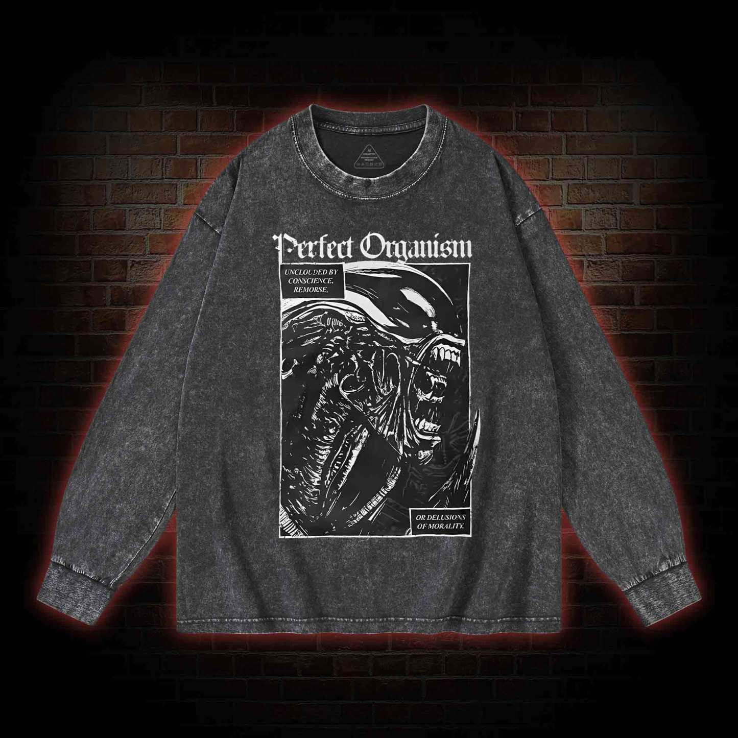 Alien Perfect Organism Washed Long-Sleeve T-shirt