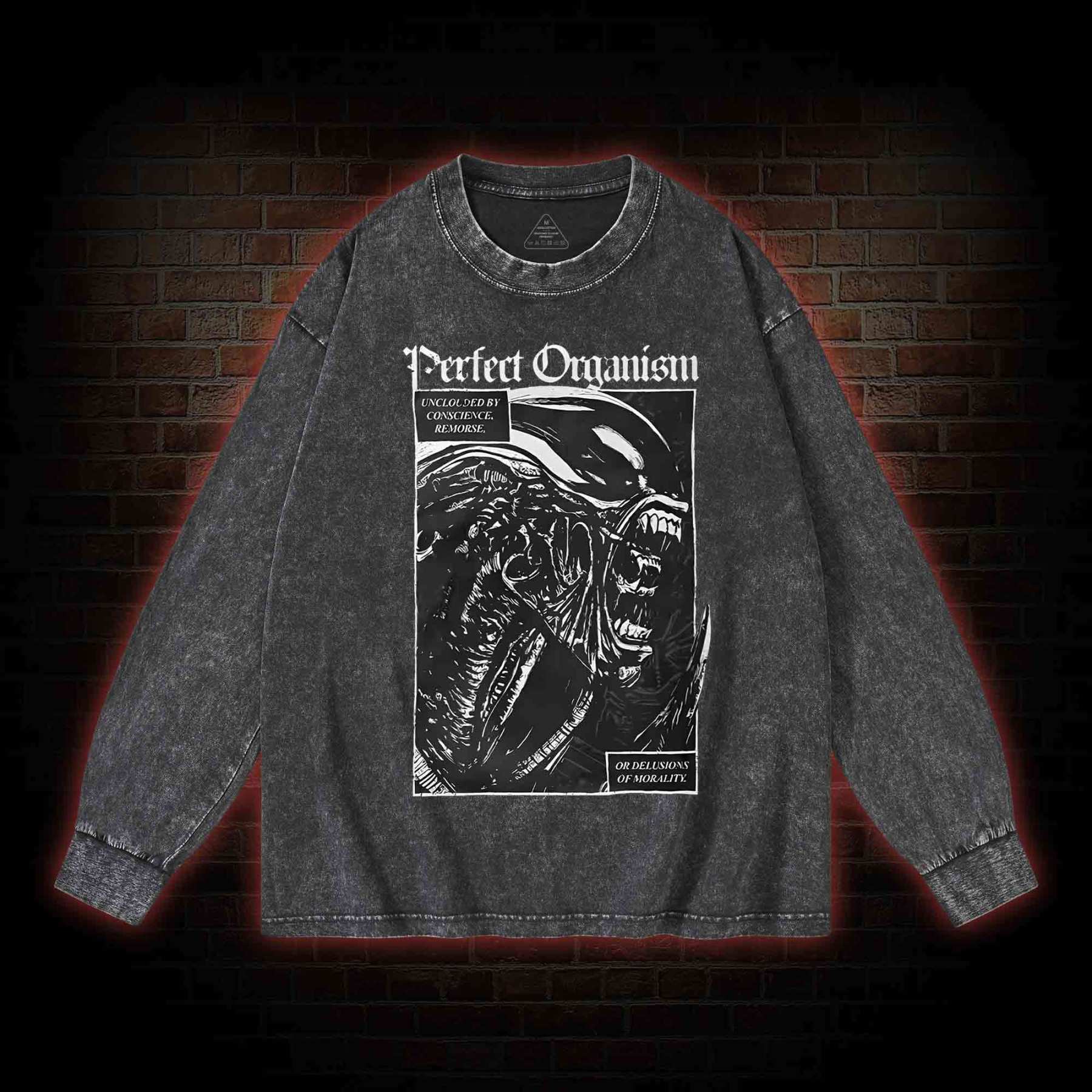Alien Perfect Organism Washed Long-Sleeve T-shirt