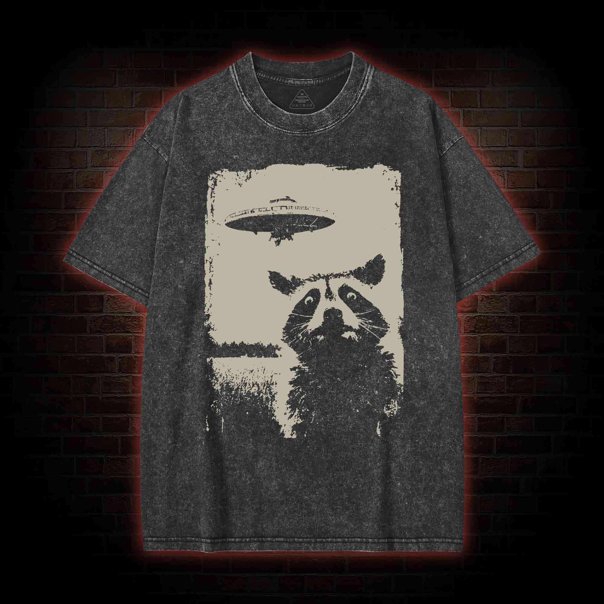 Raccoon UFO Washed T-shirt