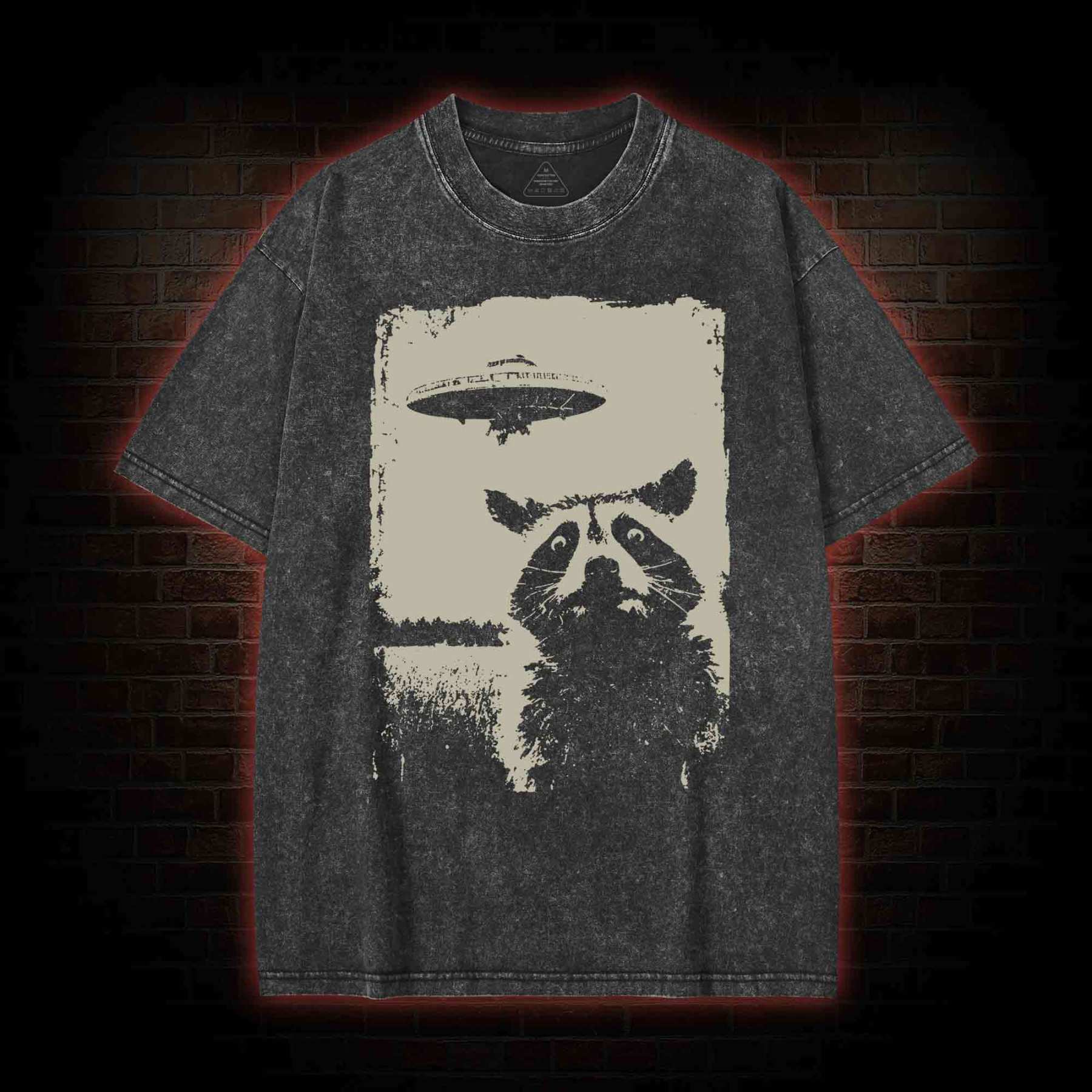 Raccoon UFO Washed T-shirt with Dark Style