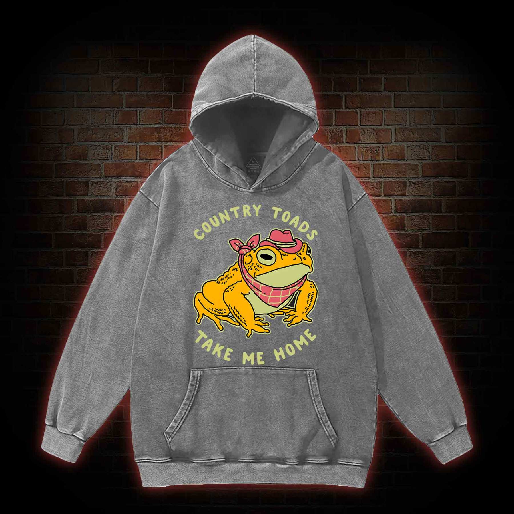 Country Toads Take Me Home Washed Hoodie