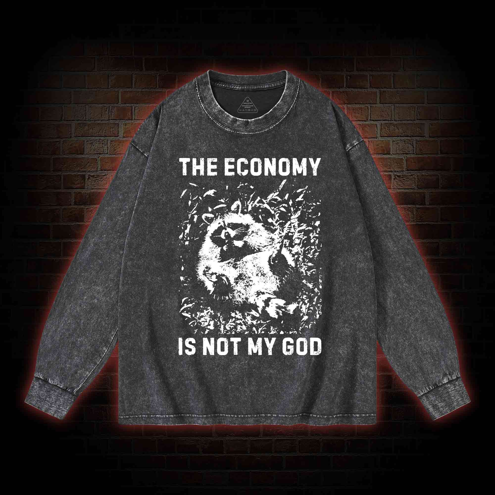 Anarchist Raccoon Economy is Not My God Washed Long-Sleeve T-shirt