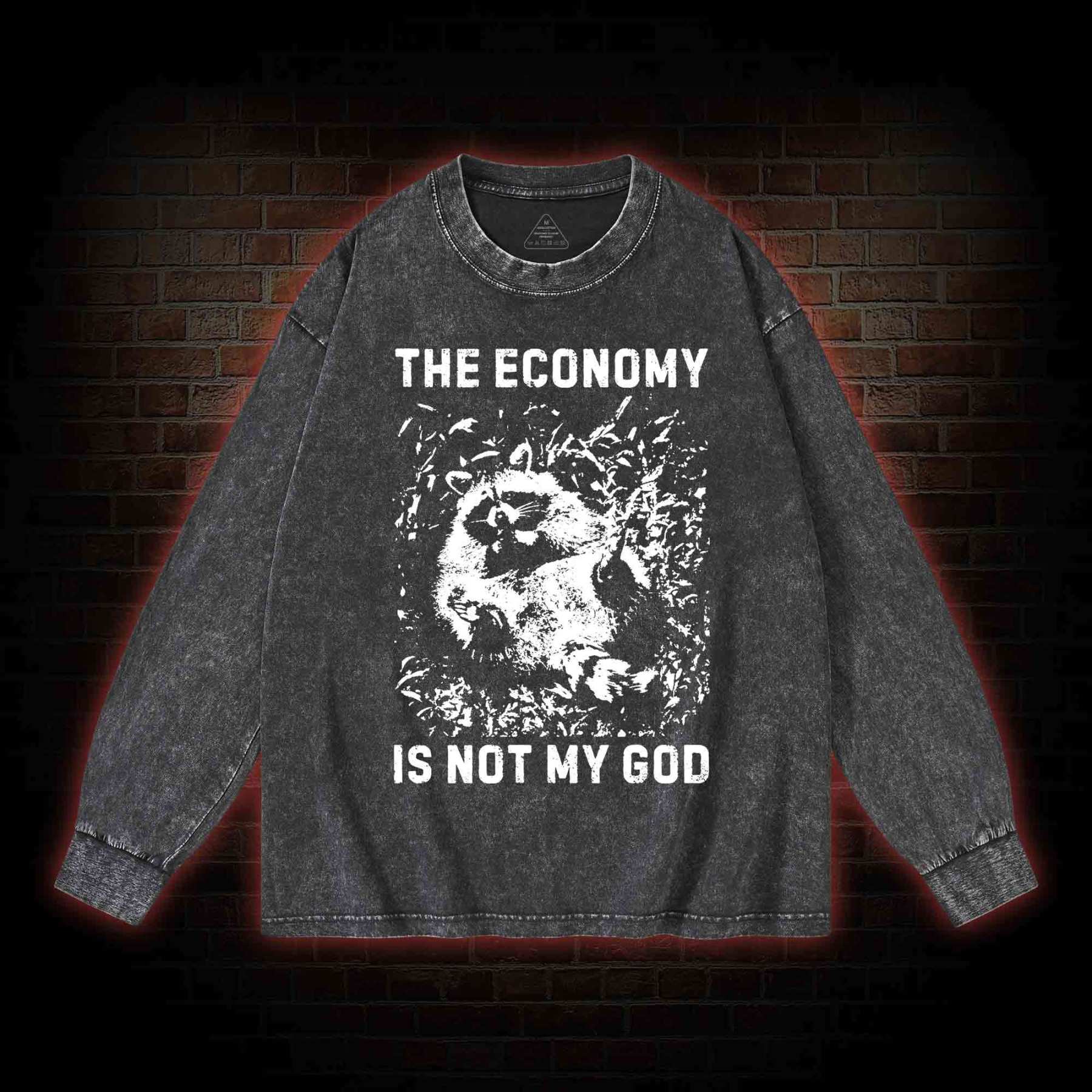 Anarchist Raccoon Economy is Not My God Washed Long-Sleeve T-shirt