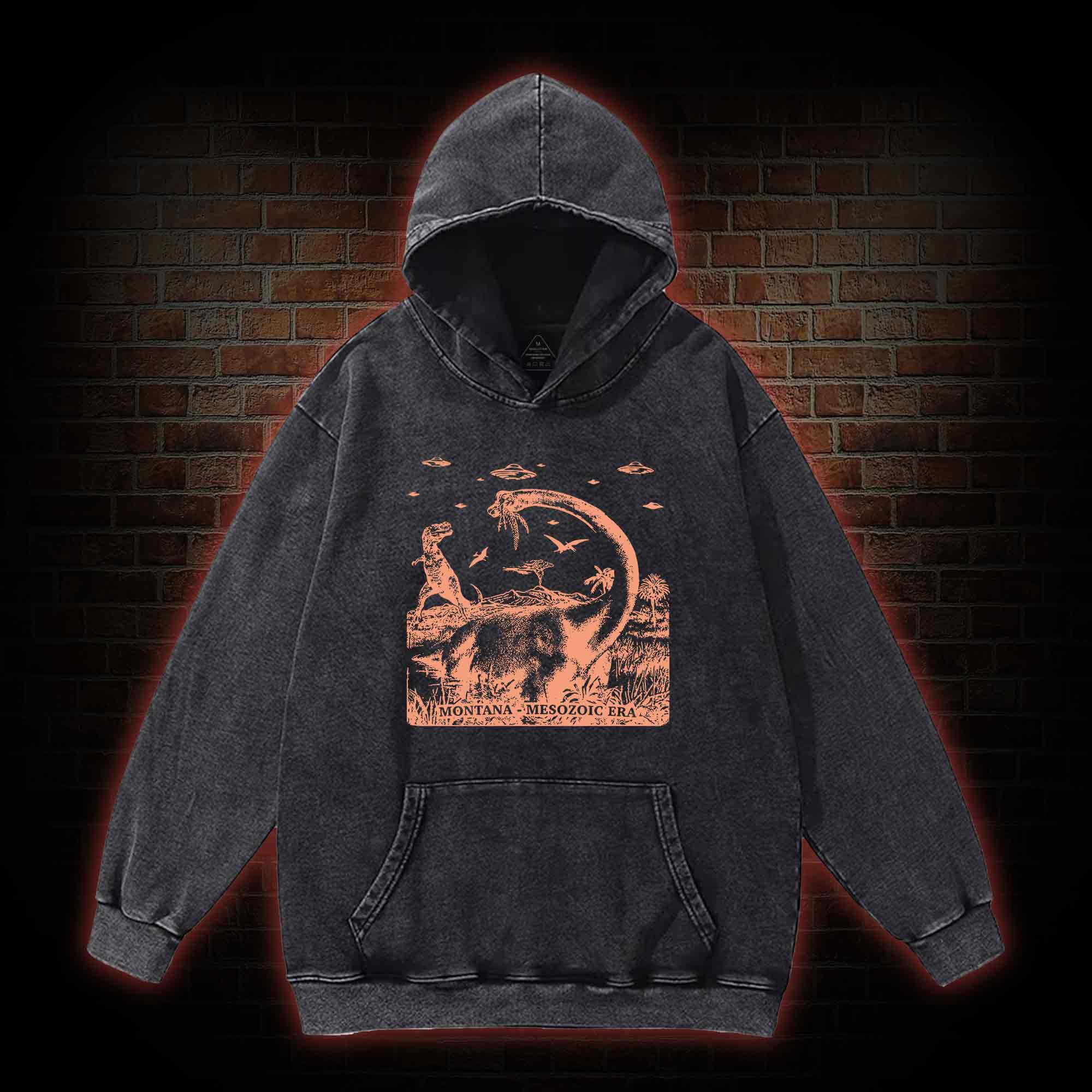 Montana Mesozoic Era Washed Hoodie