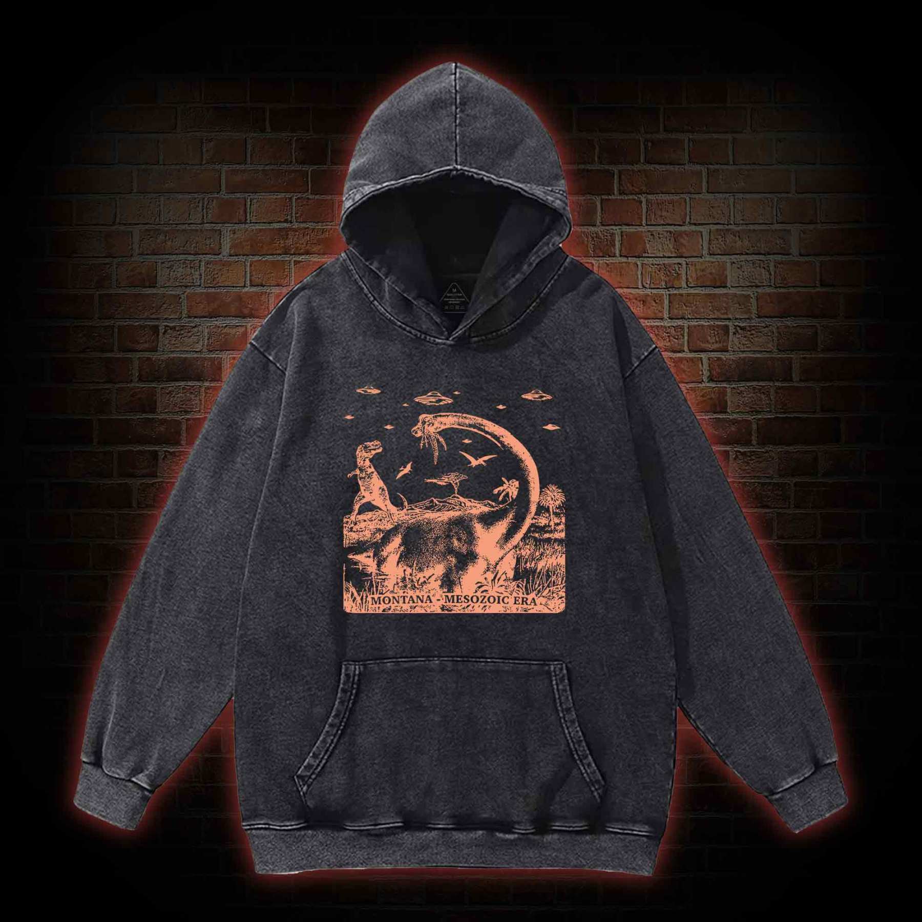 Montana Mesozoic Era Washed Hoodie