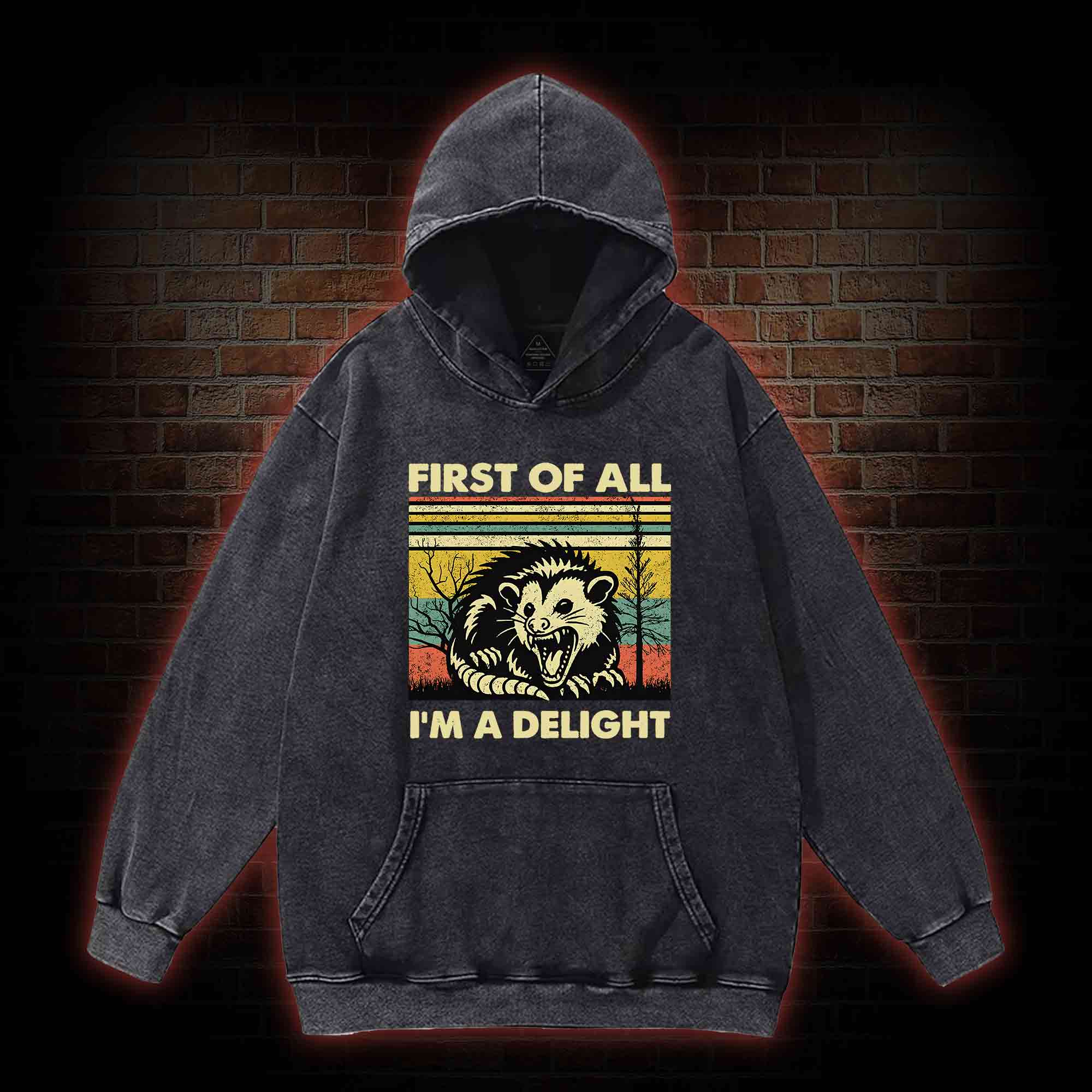 I'm A Delight Washed Hoodie