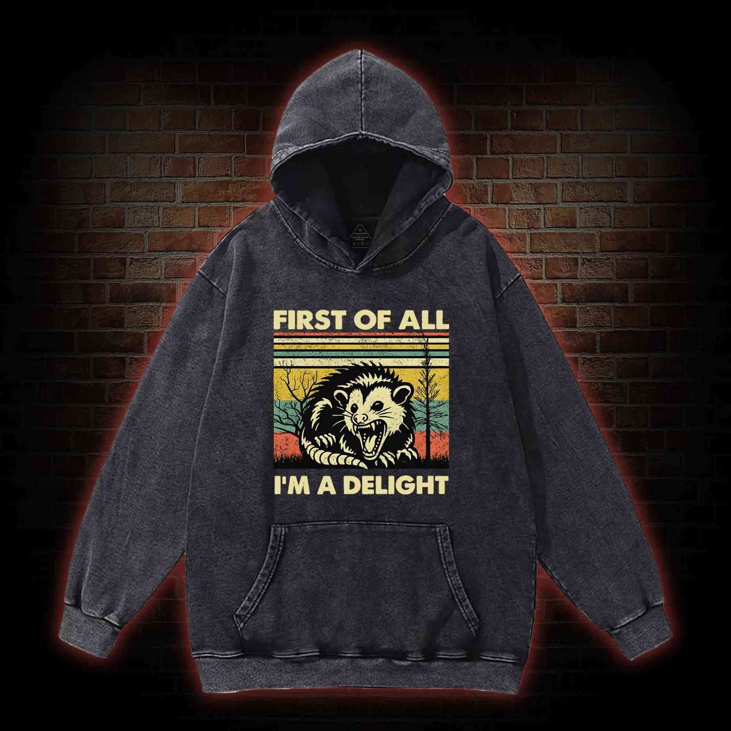 I'm A Delight Washed Hoodie