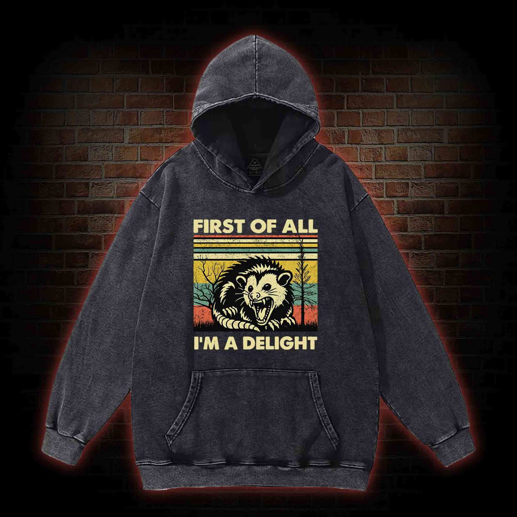 I'm A Delight Washed Hoodie