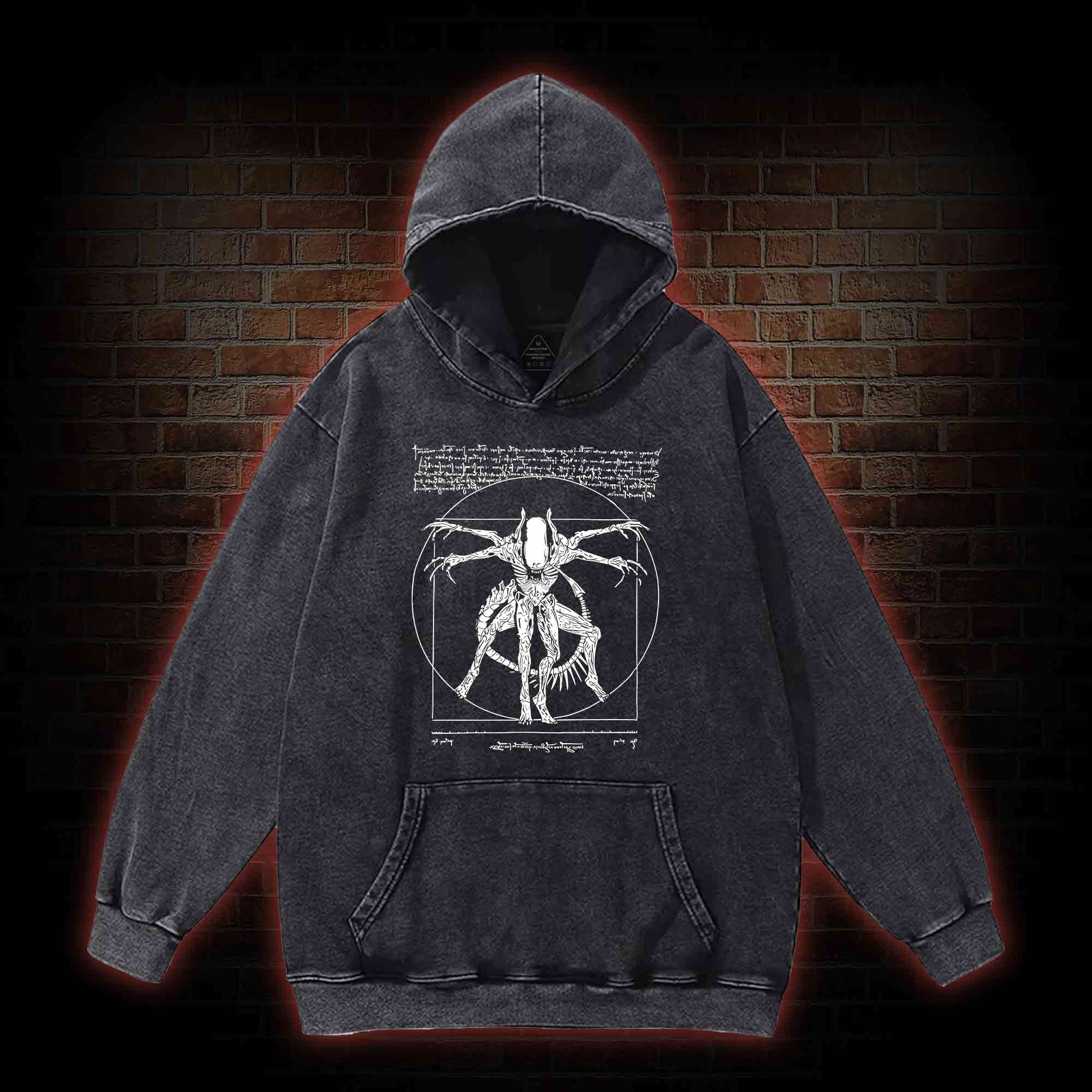 Alien Washed Hoodie