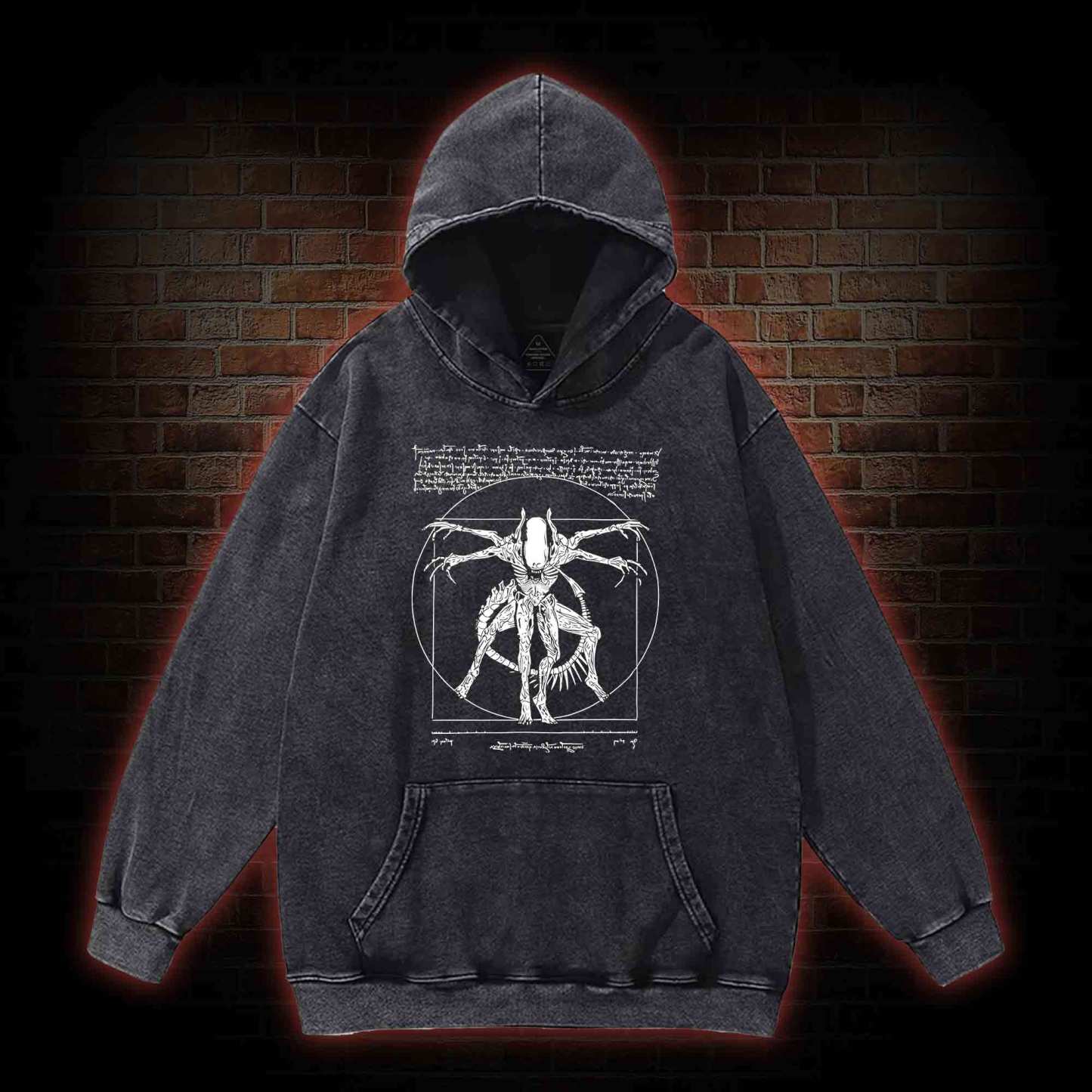 Alien Washed Hoodie