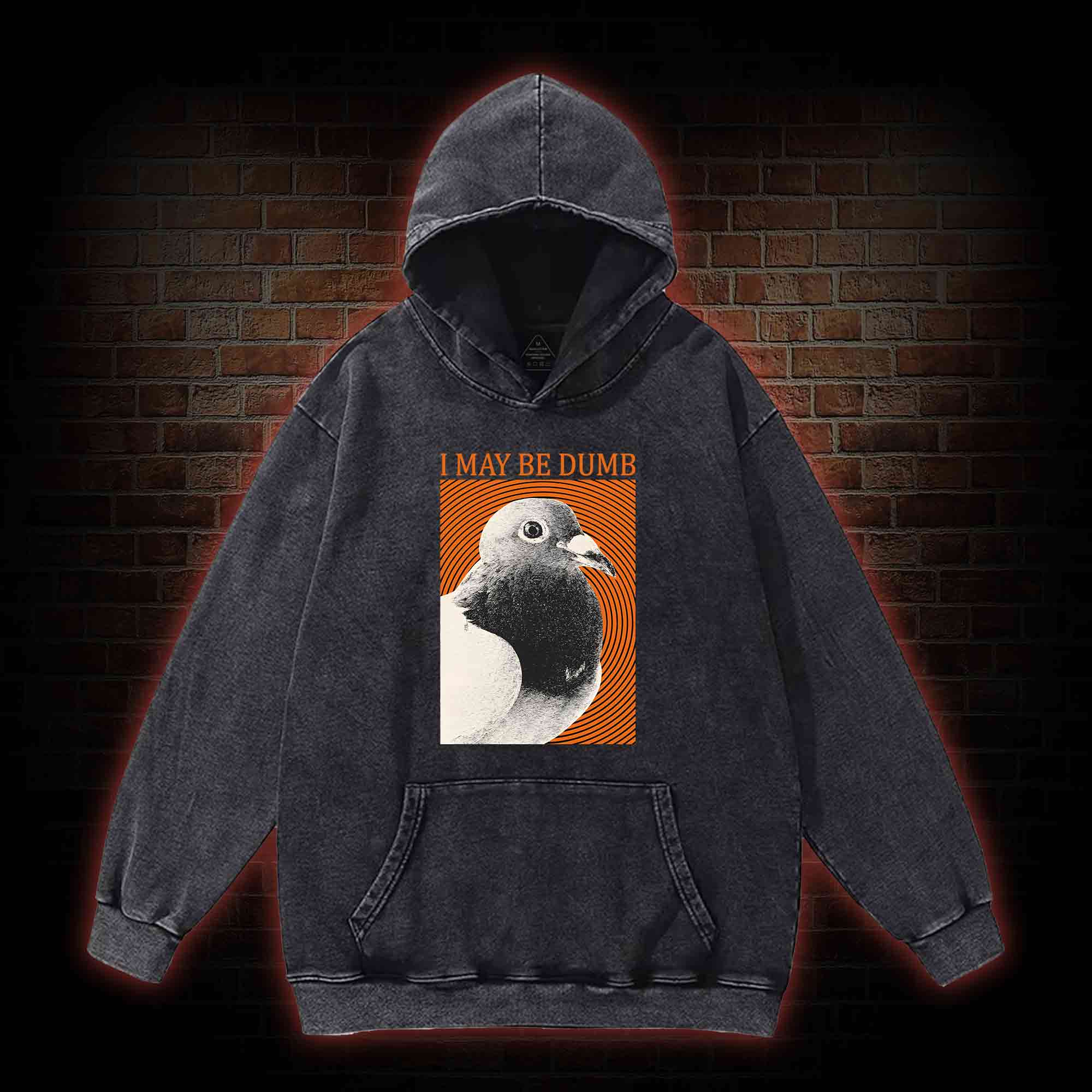 I May Be Dumb Washed Hoodie