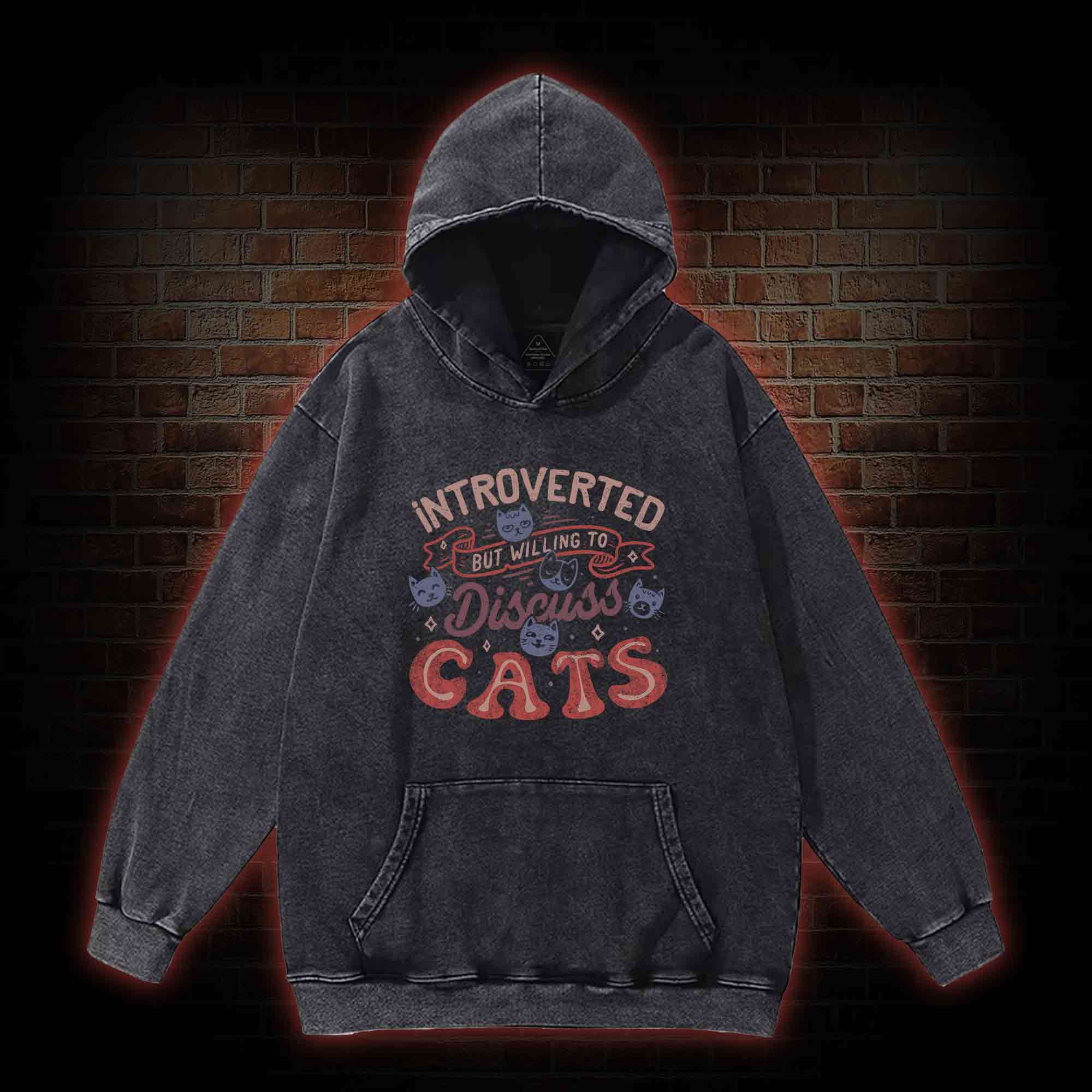 Introverted But Willing To Discuss Cats Washed Hoodie