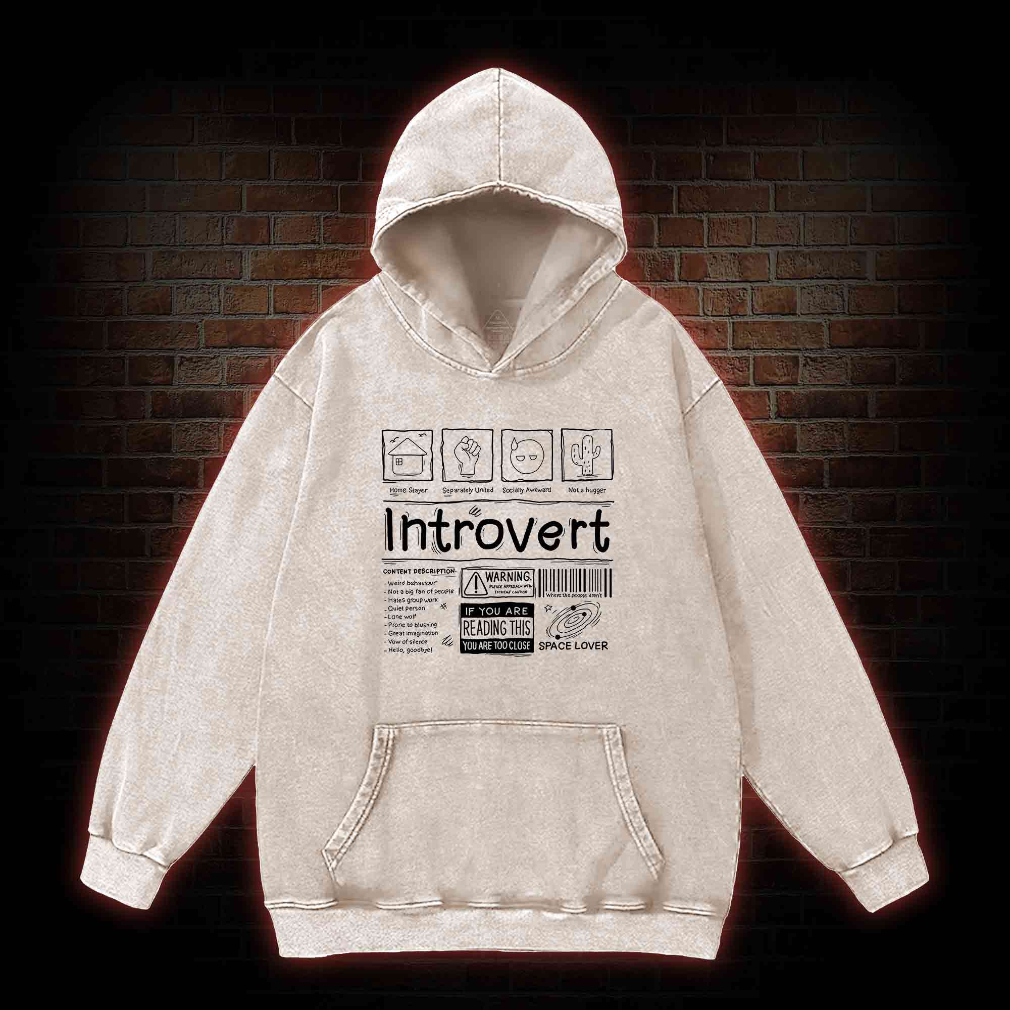 Introvert Washed Hoodie