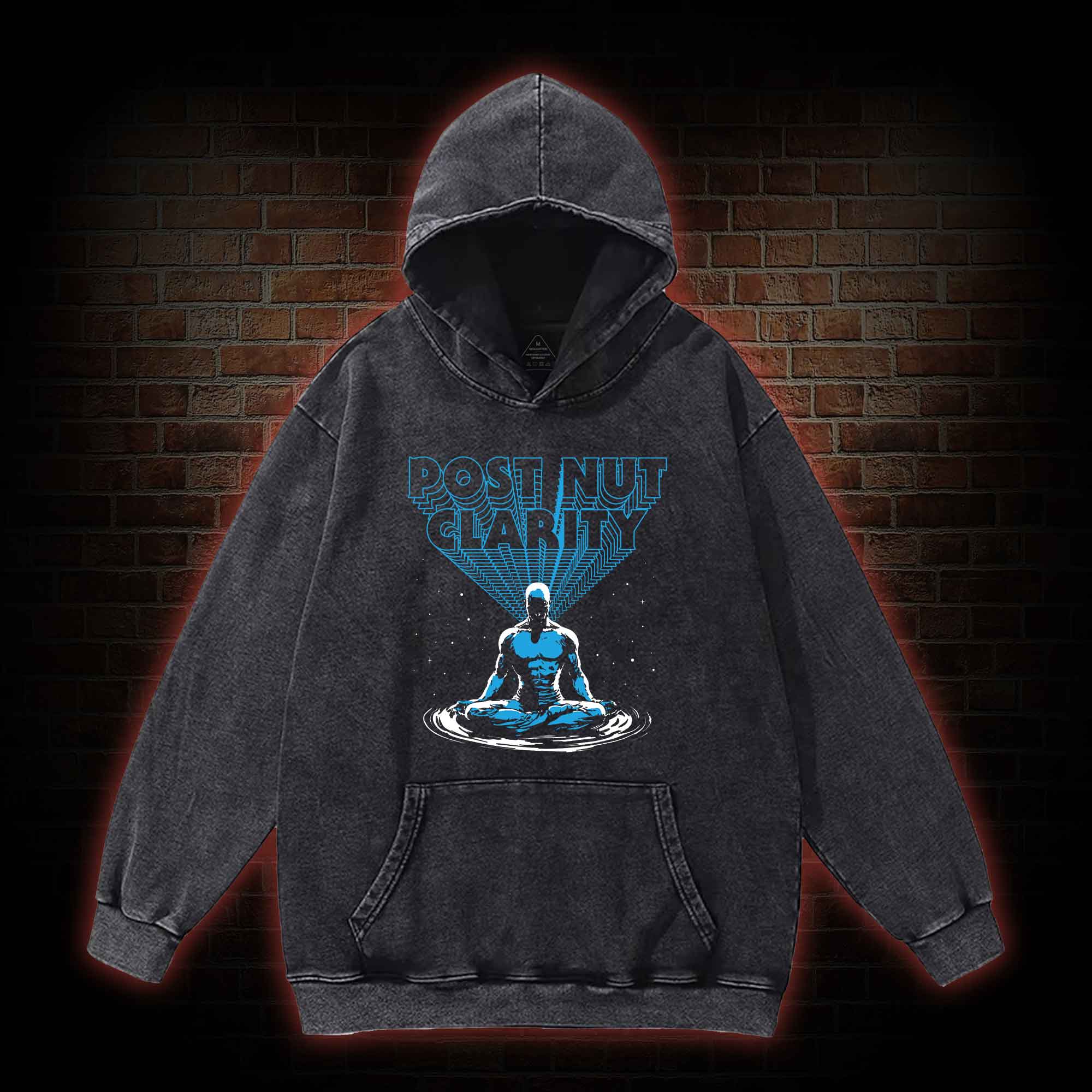 Post Nut Clarity Washed Hoodie