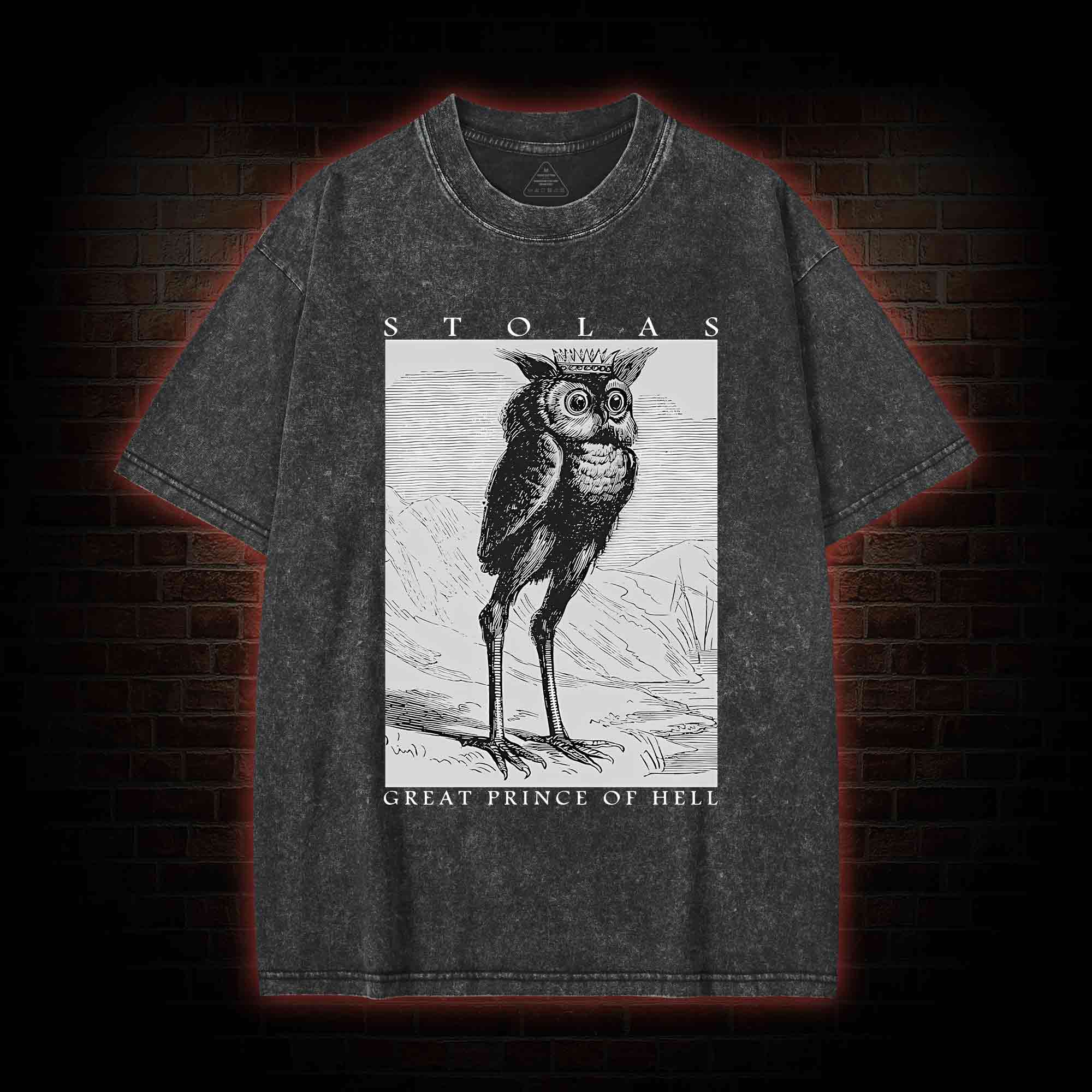 Stolas Prince Of Hell Washed T-shirt