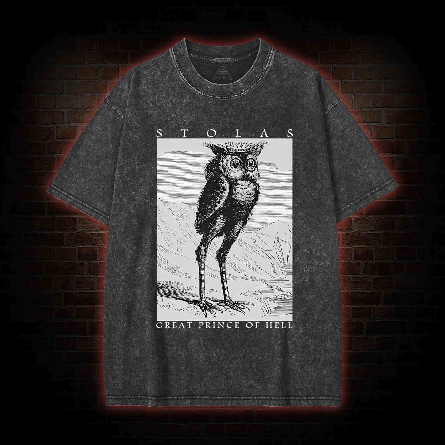 Stolas Prince Of Hell Washed T-shirt