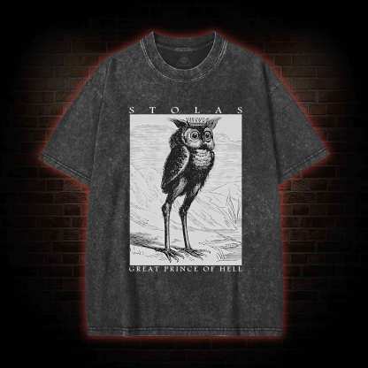 Stolas Prince Of Hell Washed T-shirt