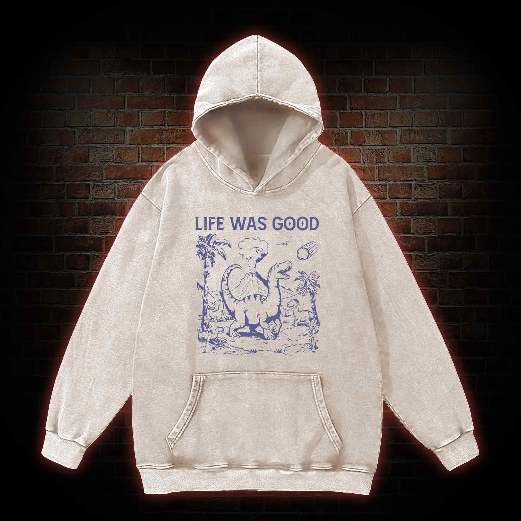 Life Was Good Washed Hoodie