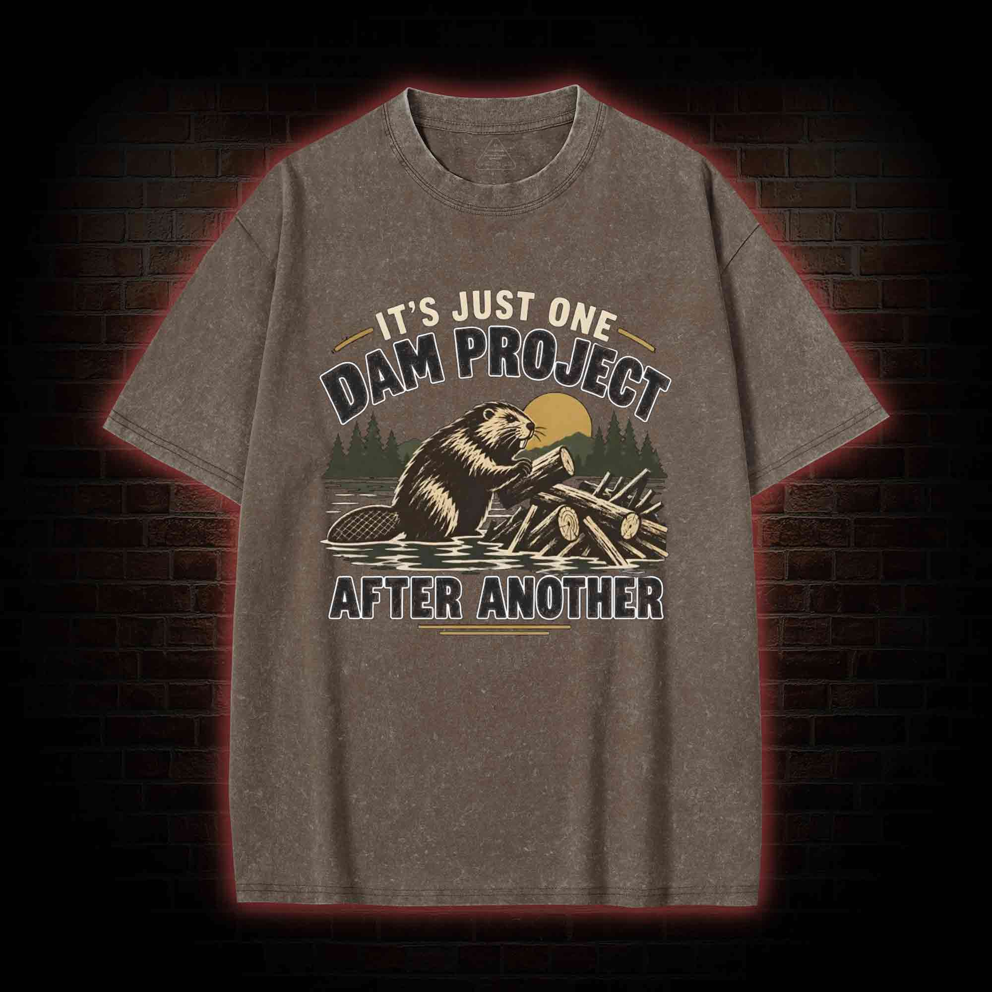 One Dam Project After Another Washed T-shirt