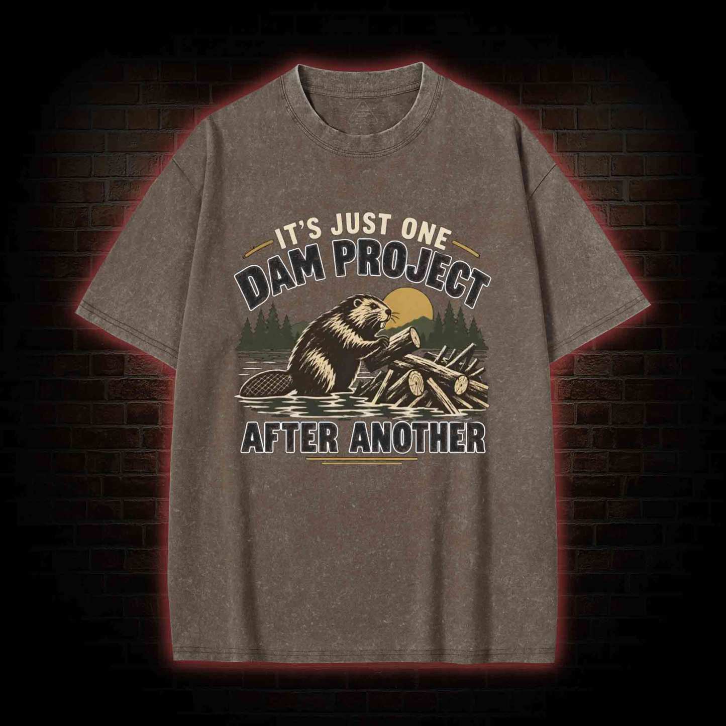 One Dam Project After Another Washed T-shirt