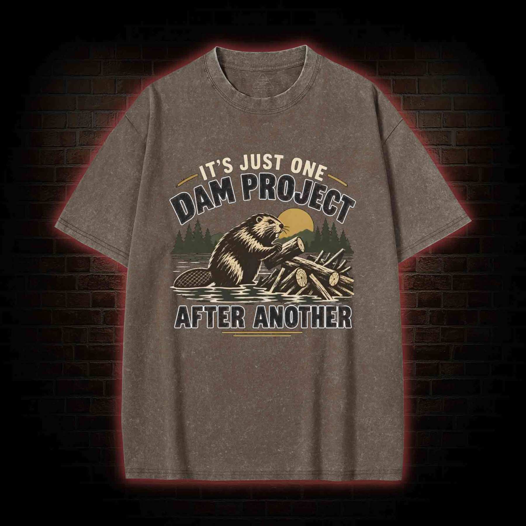 One Dam Project After Another Washed T-shirt