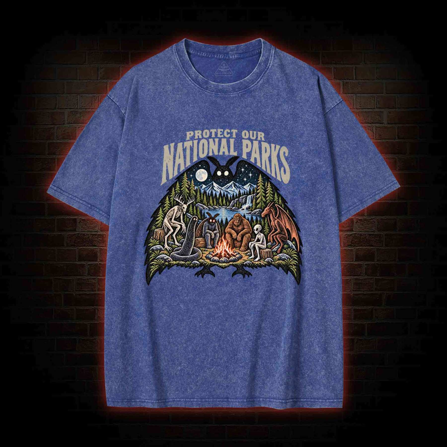 Protect Our National Parks Washed T-shirt