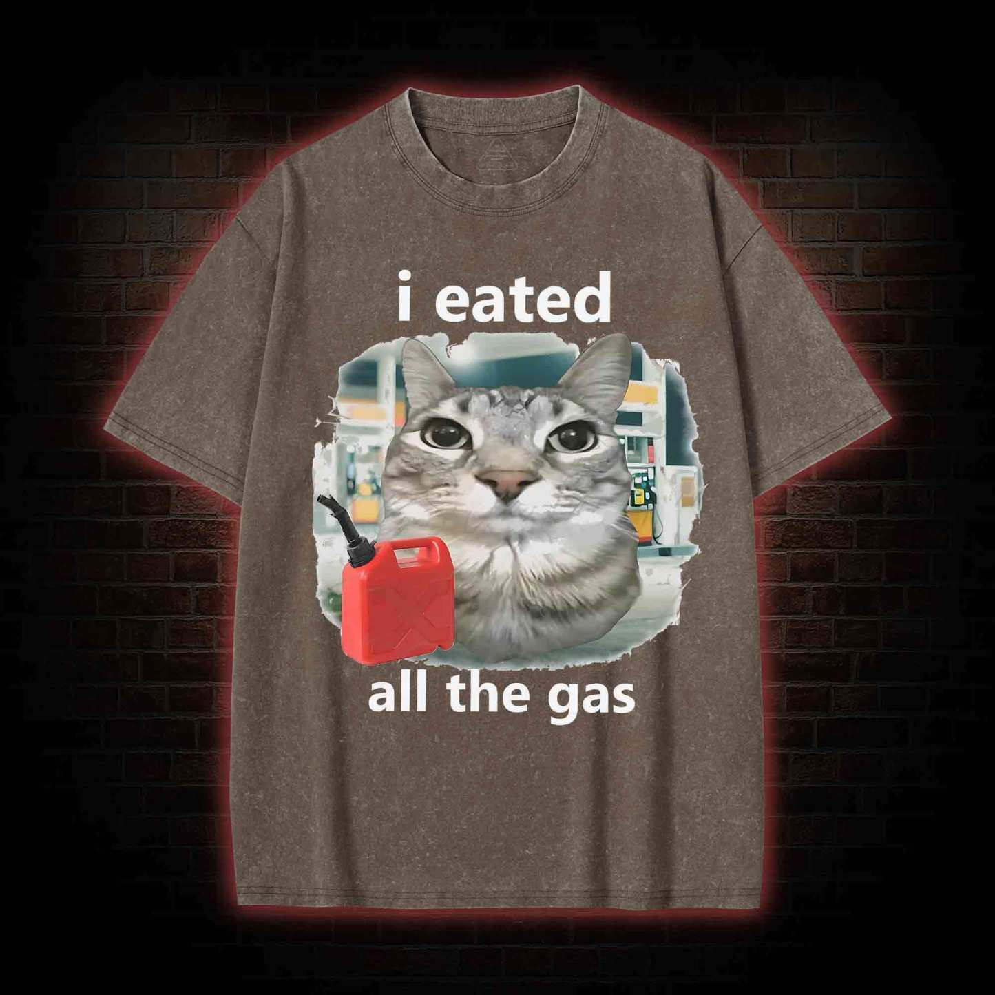 I Eated All the Gas Washed T-shirt