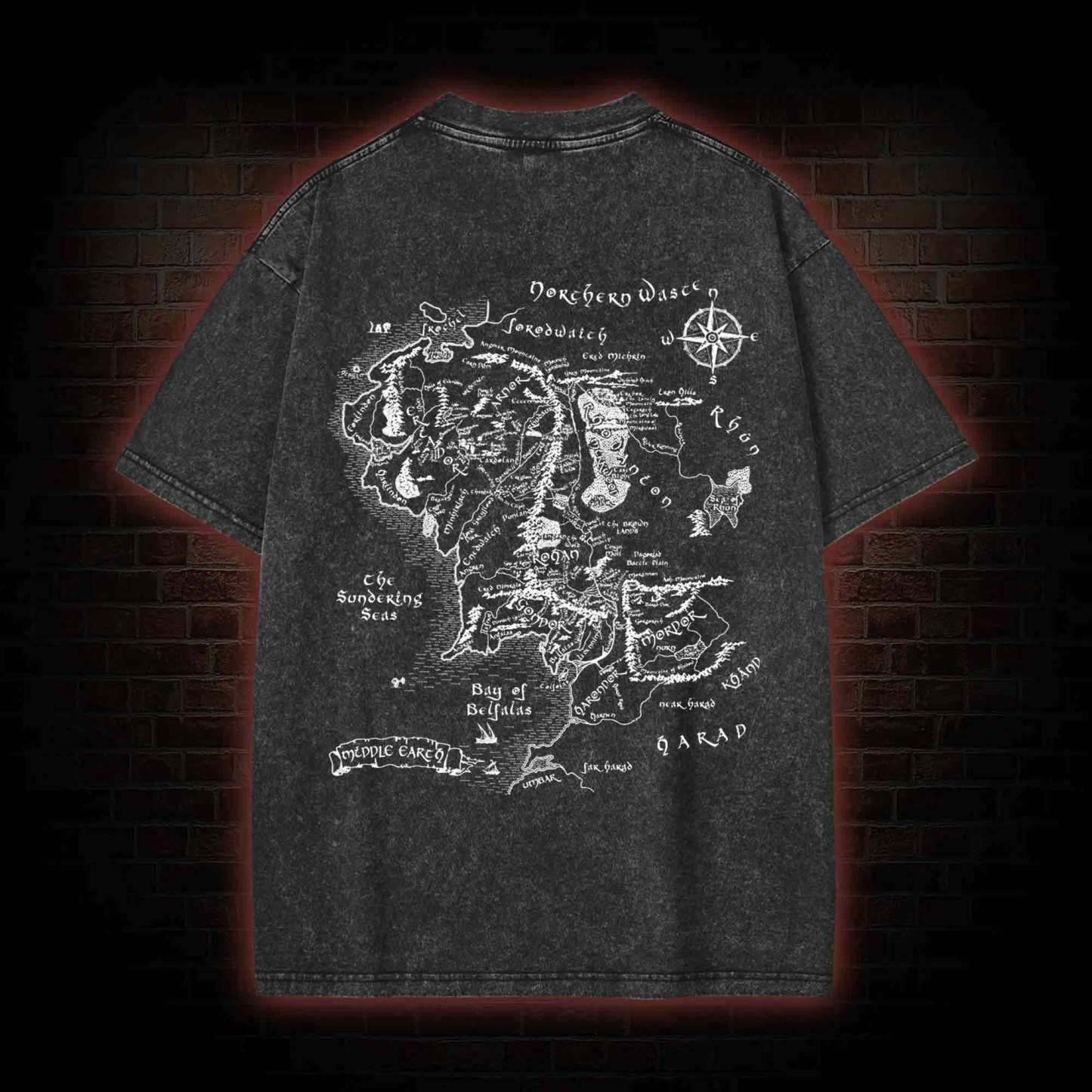 You can't Pass Washed T-shirt