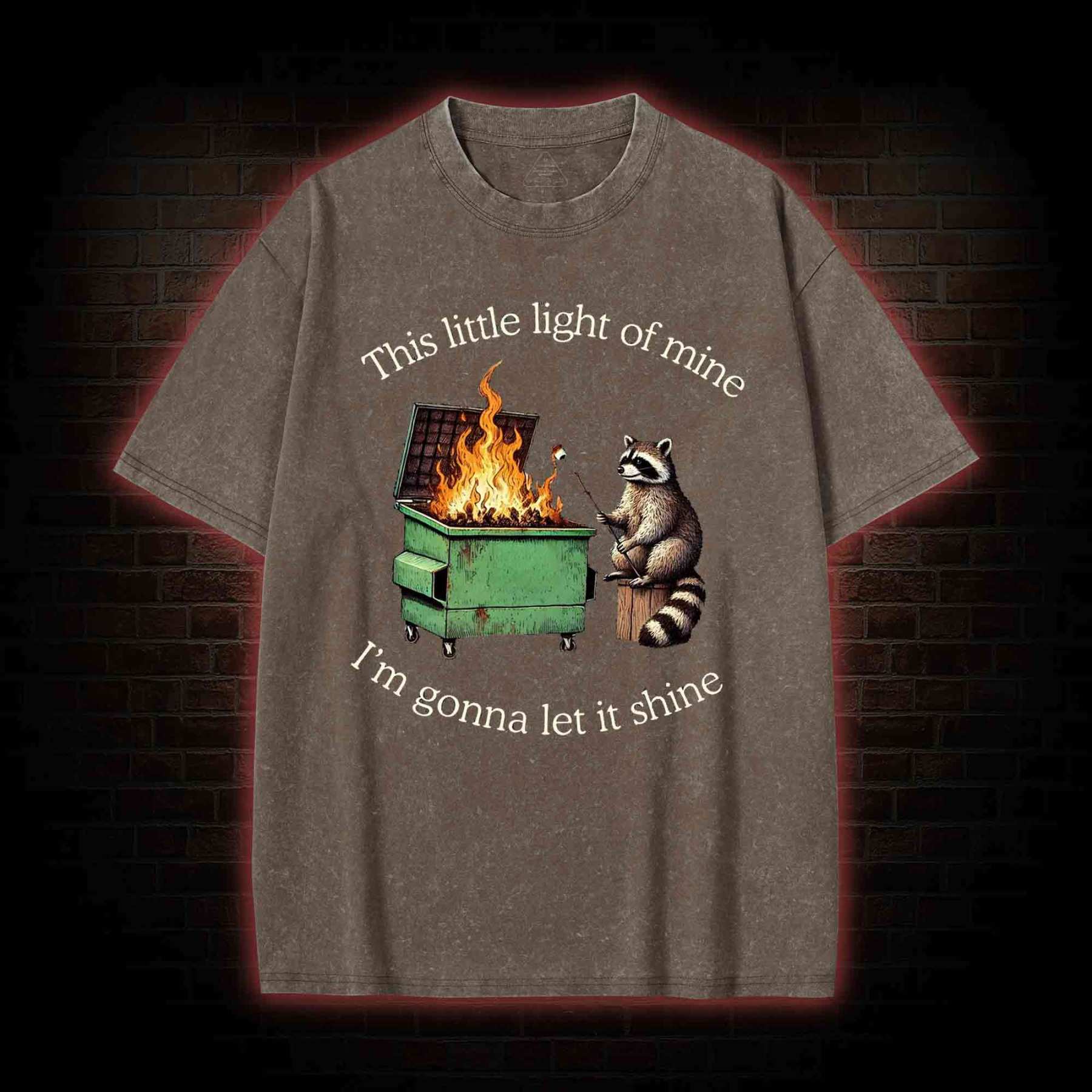 Dumpster Fire Raccoon Washed T-shirt
