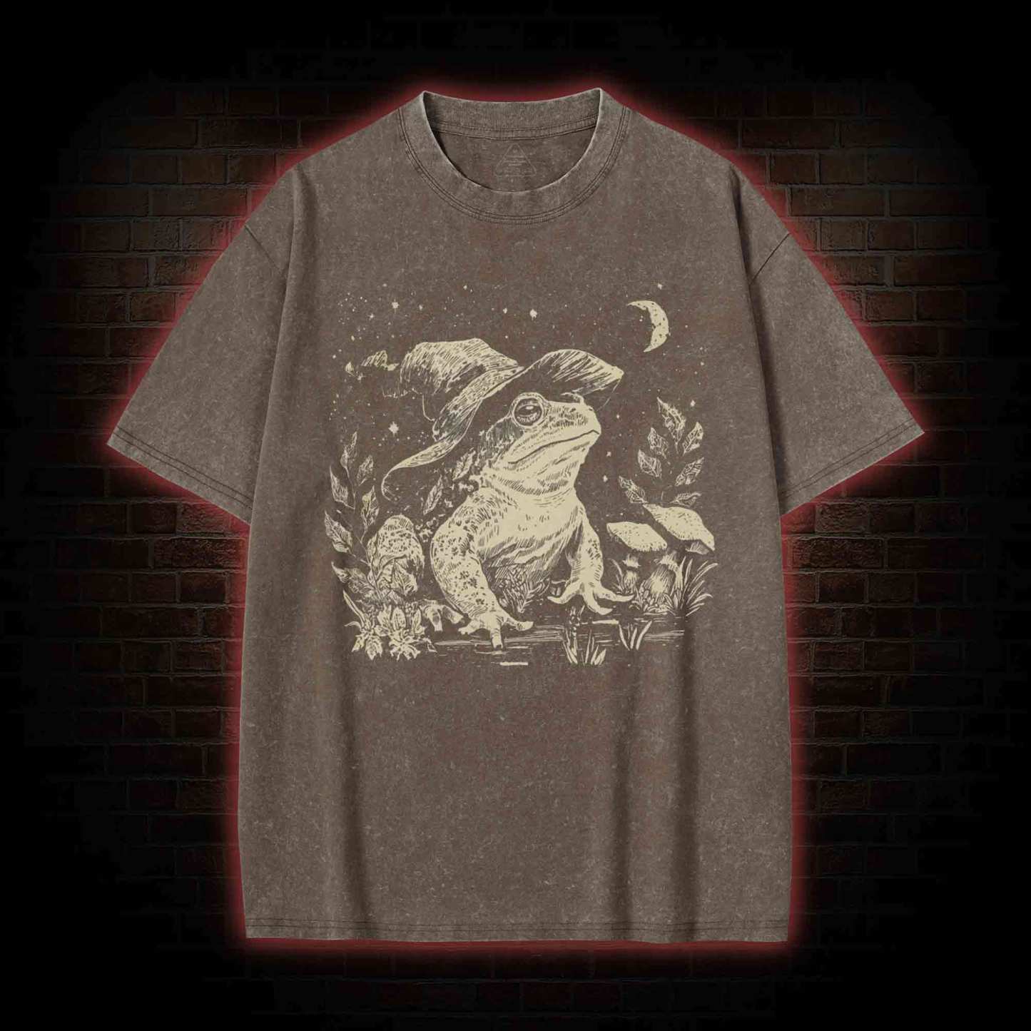 Witchy Frog Washed T-shirt