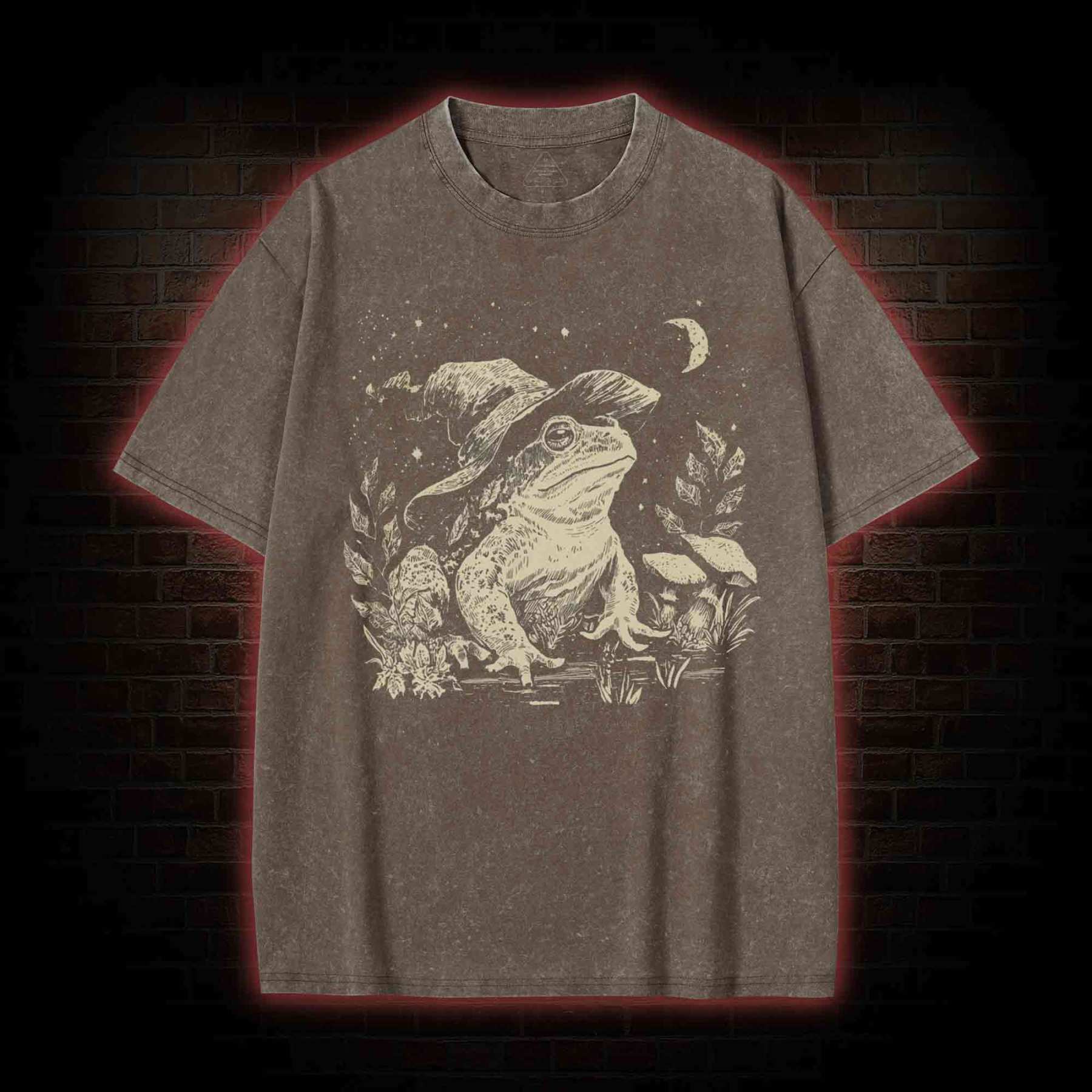 Witchy Frog Washed T-shirt
