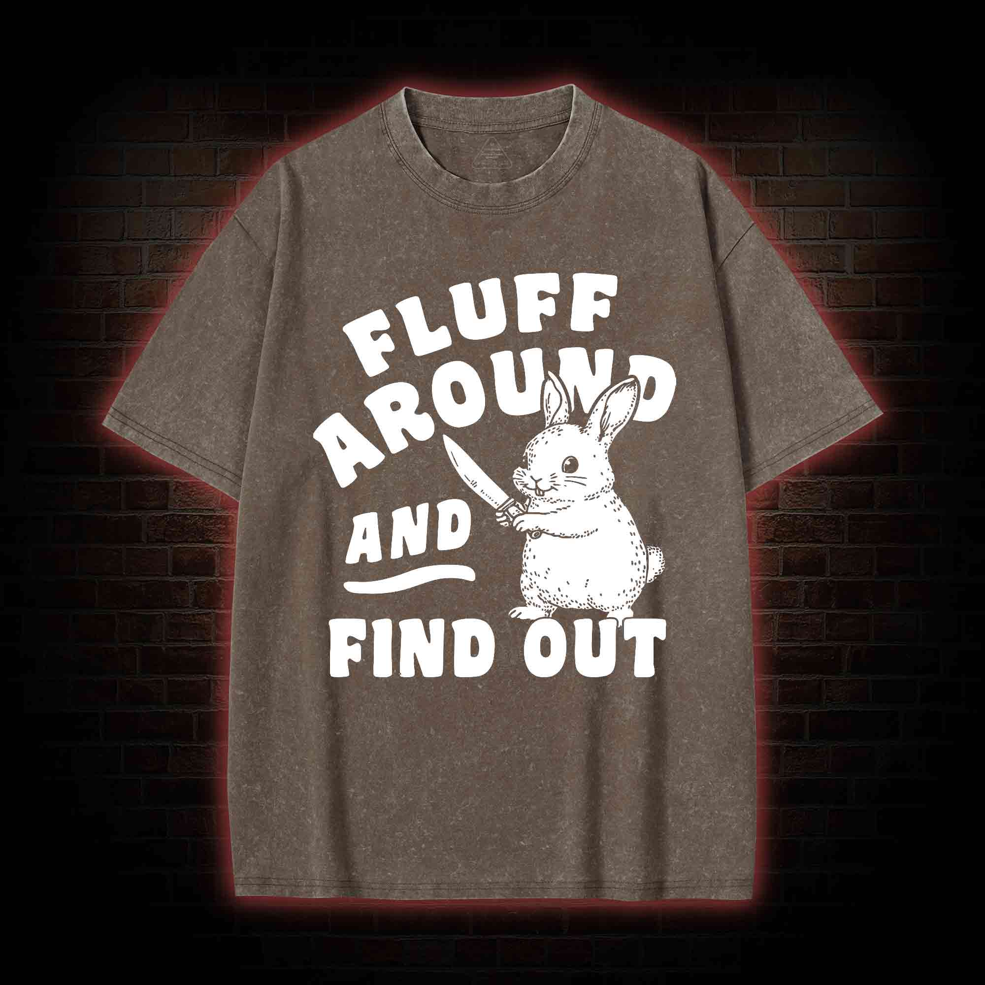 Fluff Around and Find Out Washed T-shirt