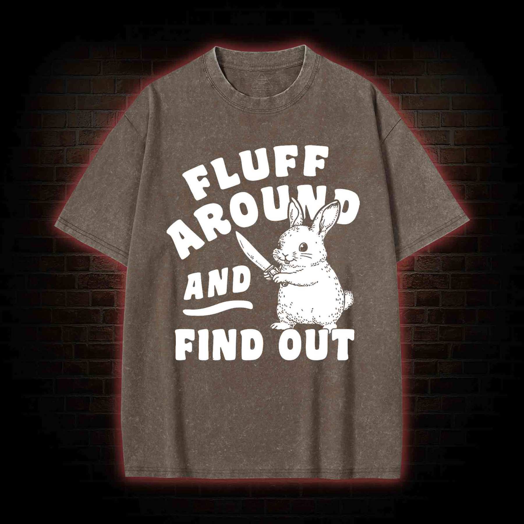 Fluff Around and Find Out Washed T-shirt
